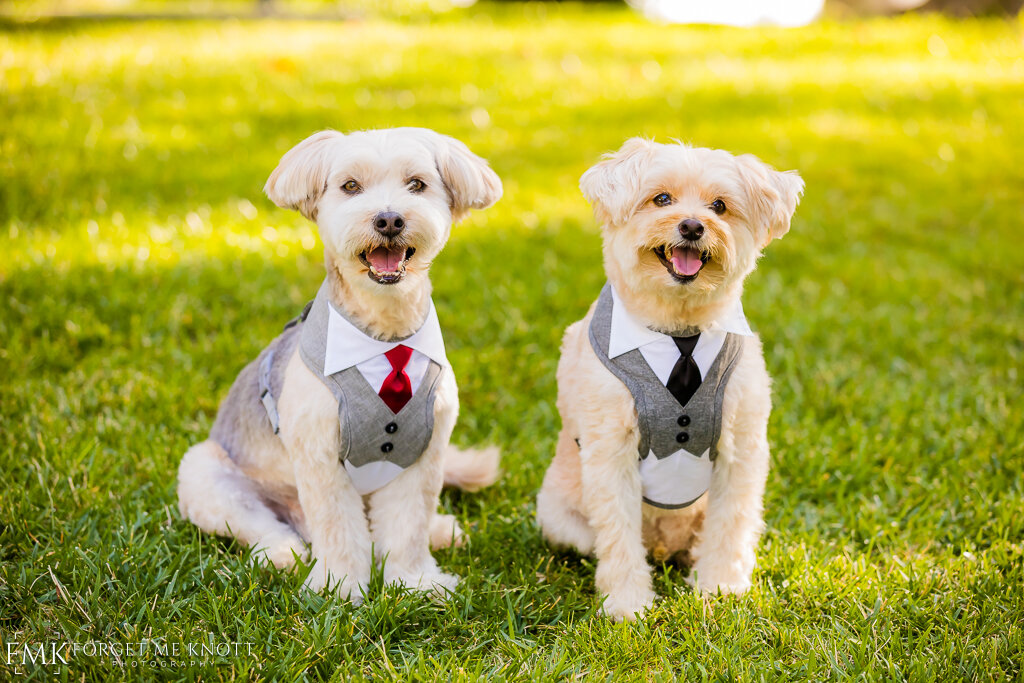 Captain and Butterscotch took a moment to pose in their suits.