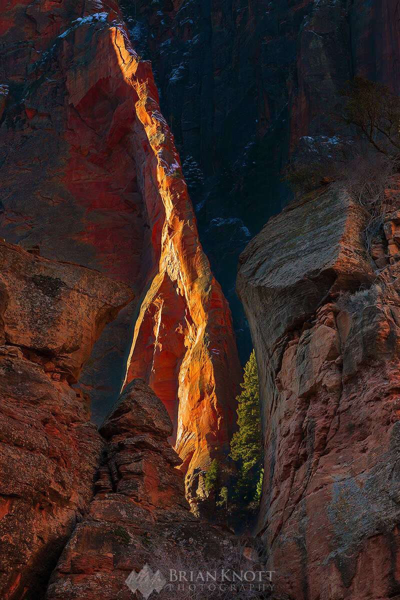 Sliver of light, Zion National Park, Utah.