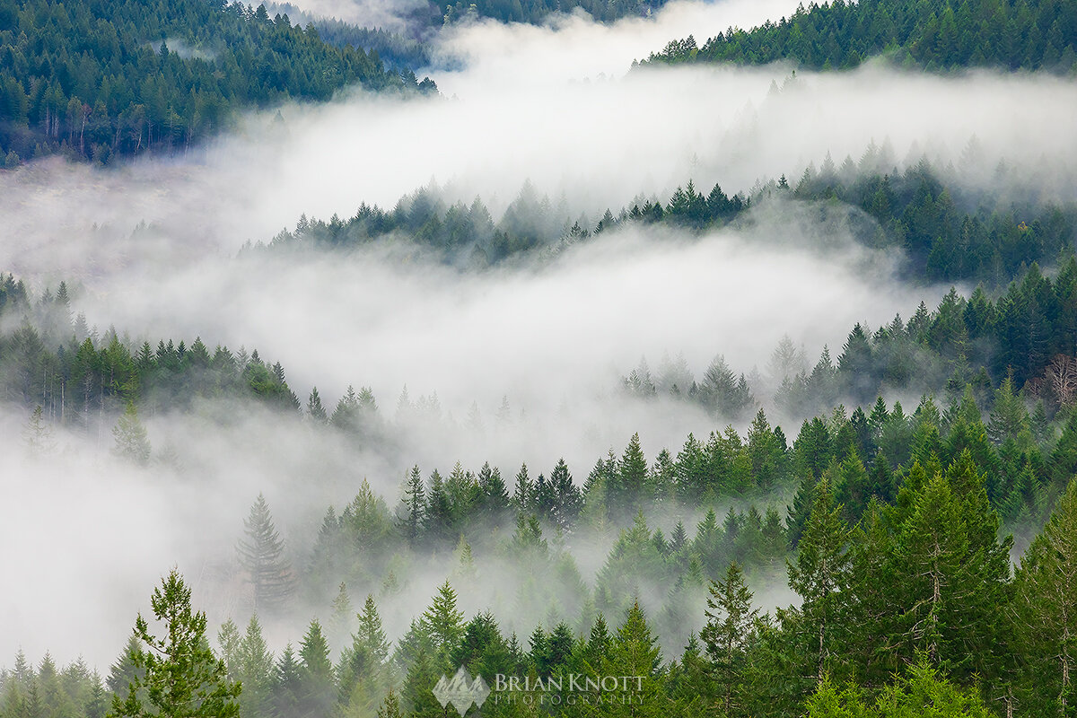 Low laying clouds in a Southern Oregon valley.