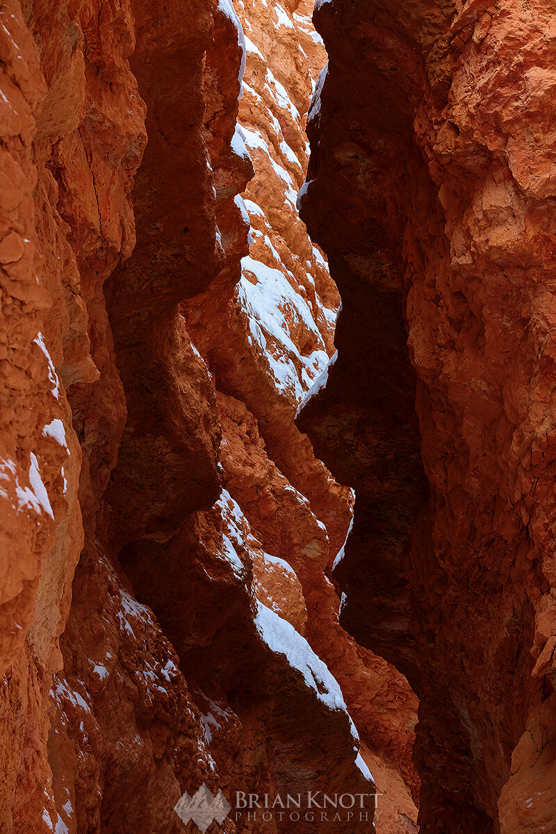 An abstract down in the canyon, Bryce Canyon National Park, Utah.