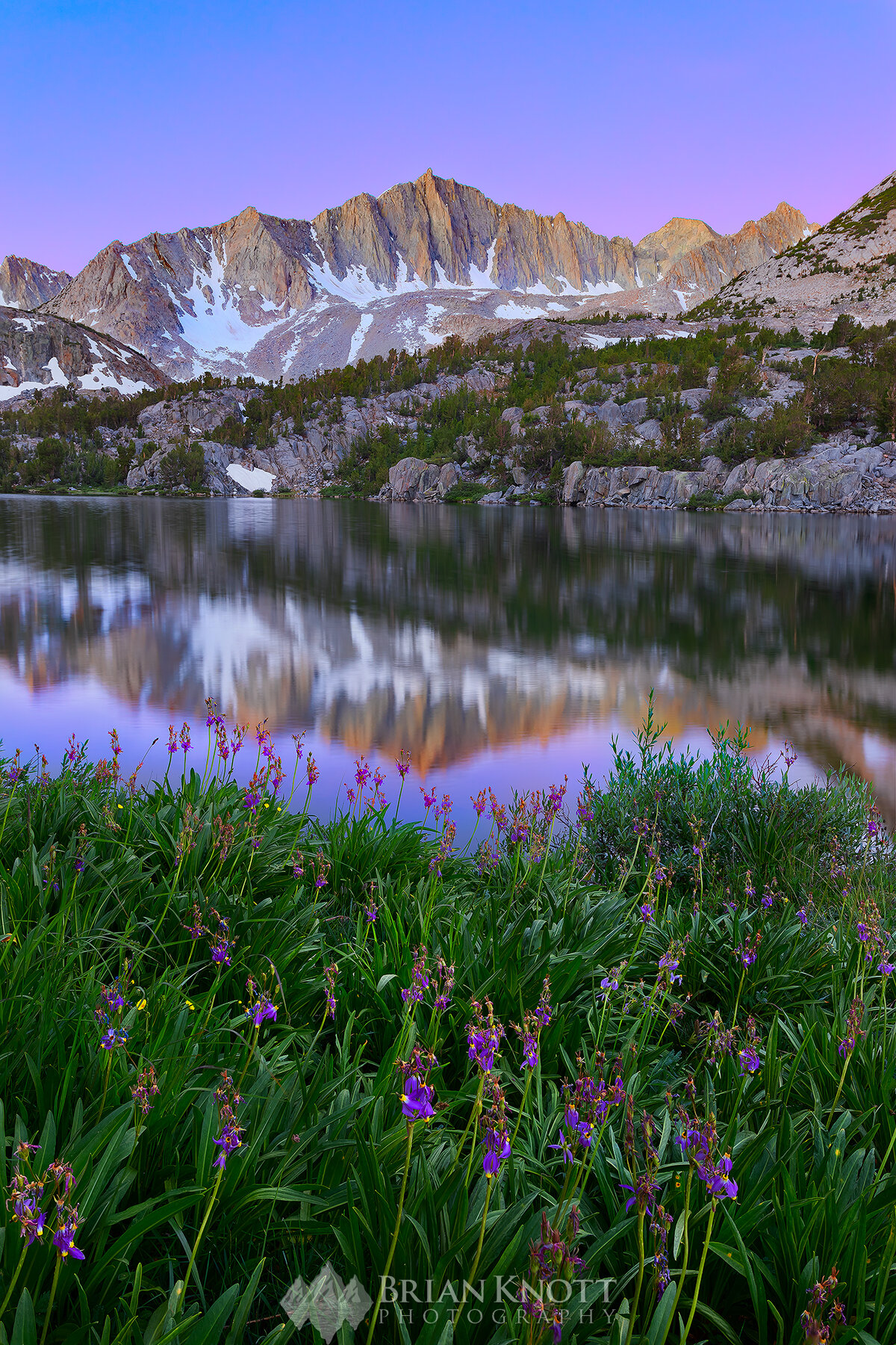 Shooting Stars and Mt. Goode at sunrise, John Muir Wilderness, Ca.