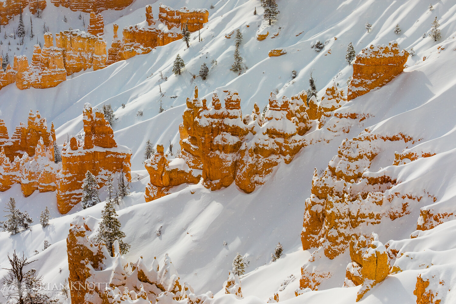 Bryce Canyon National Park in winter.