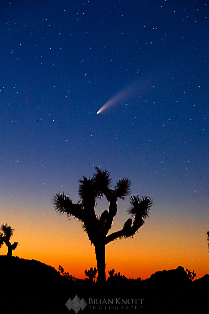  Comet Neowise from Joshua Tree National Park, Ca. 