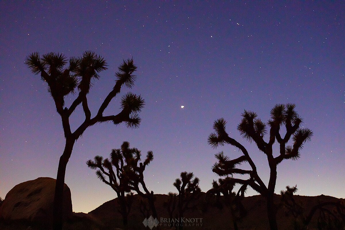  Jupiter and Saturn conjunction from Joshua Tree National Park, Ca. 