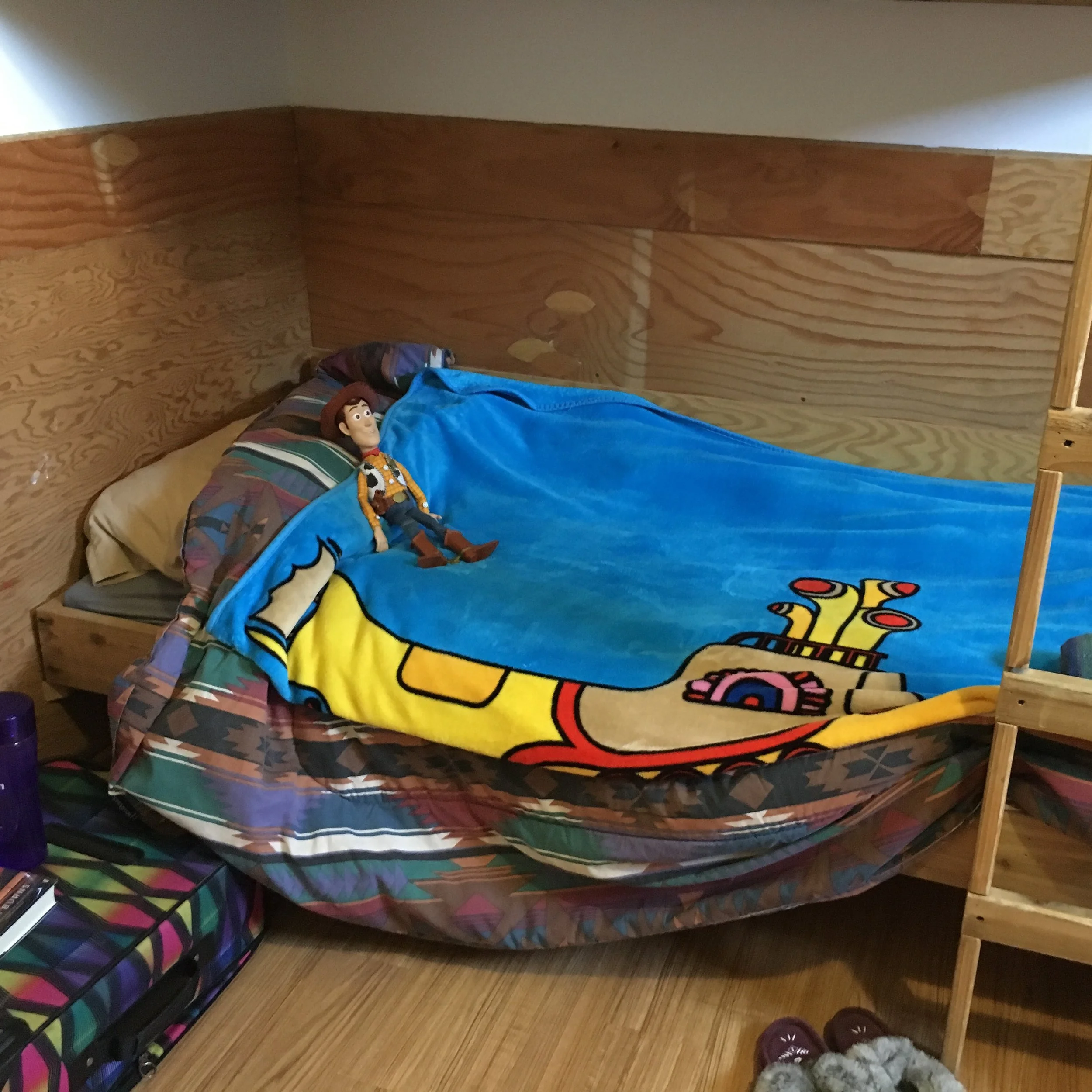 Sheriff Woody Makes It Feel Like Home.