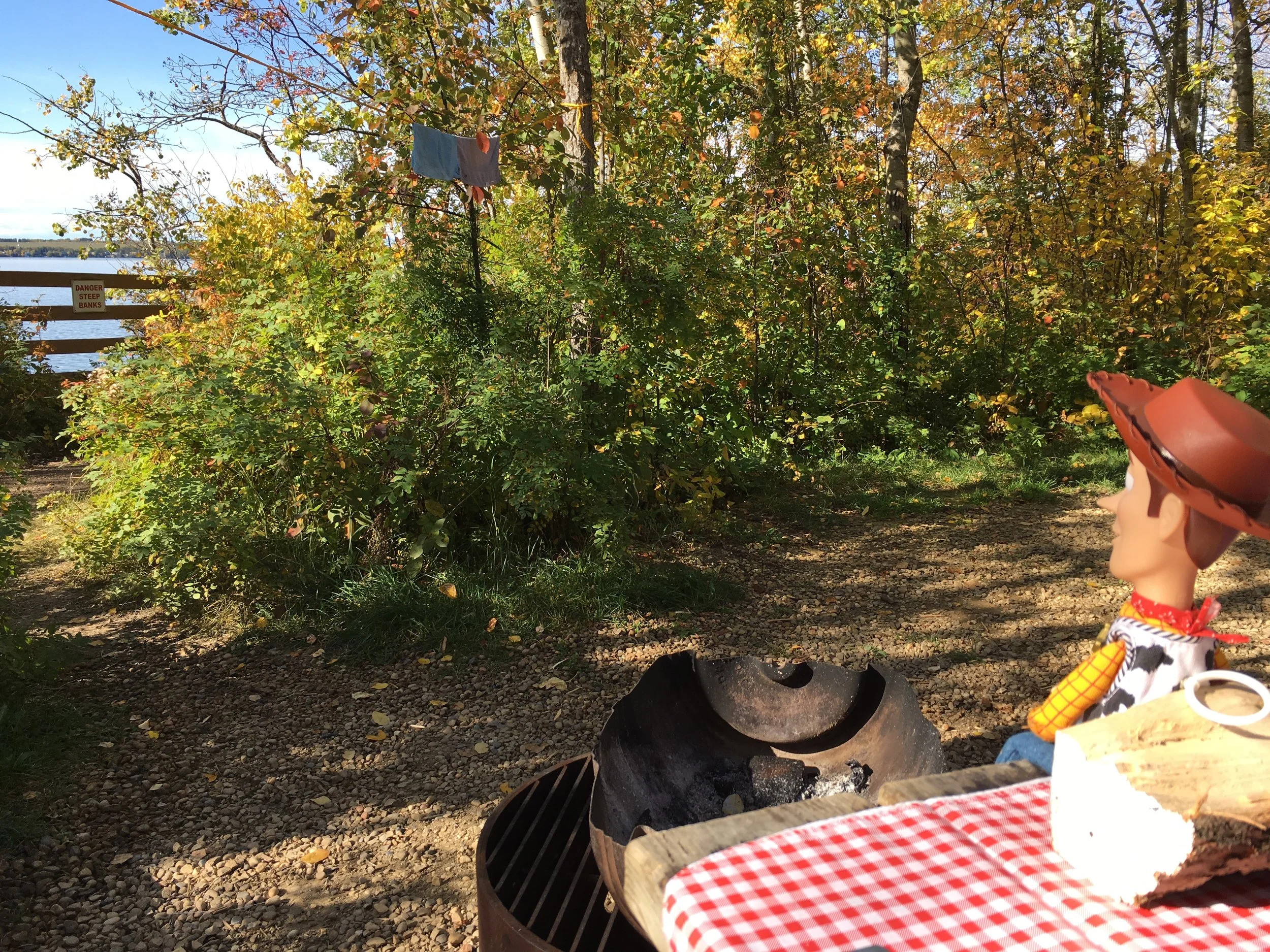 My e-course menu is here!