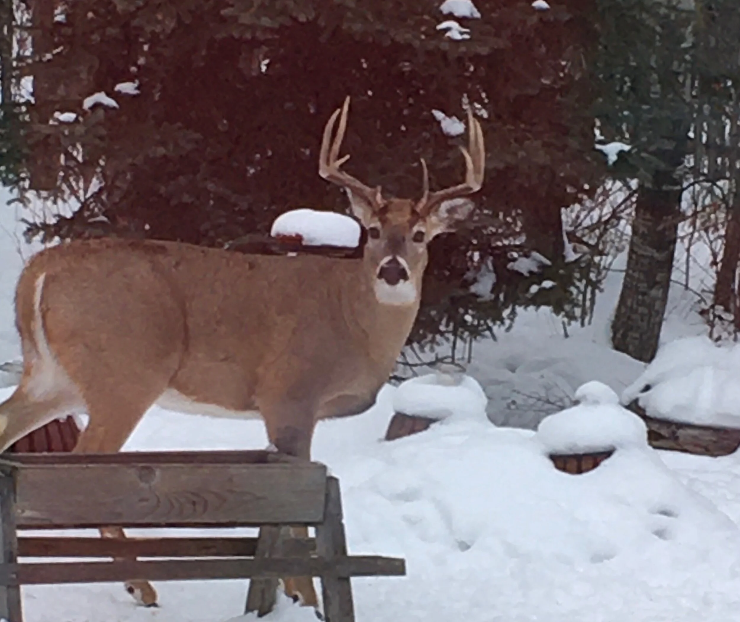 What would you like to learn from me?