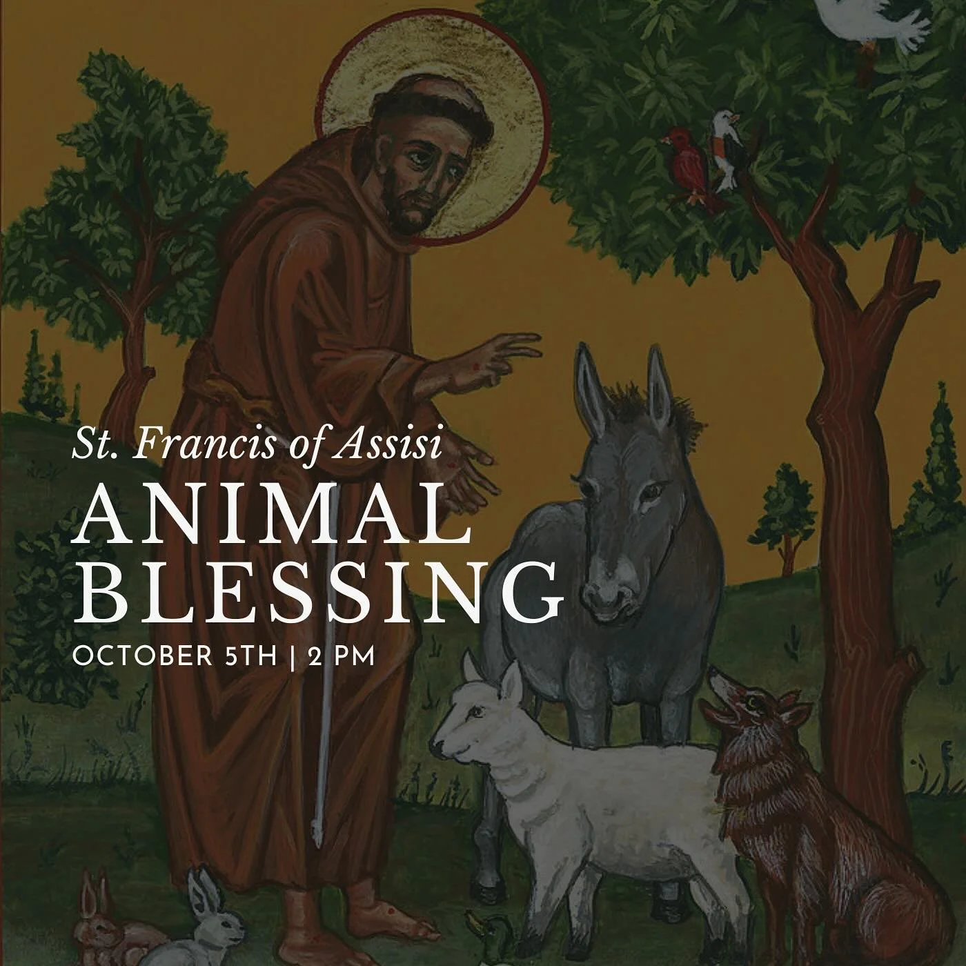Join us for our cherished tradition of the St. Francis of Assisi Animal Blessing! On Sunday, October 5 at 2pm, bring your beloved pets, whether they walk, hop, fly, or swim, for a special blessing in honor of St. Francis, the patron saint of animals 