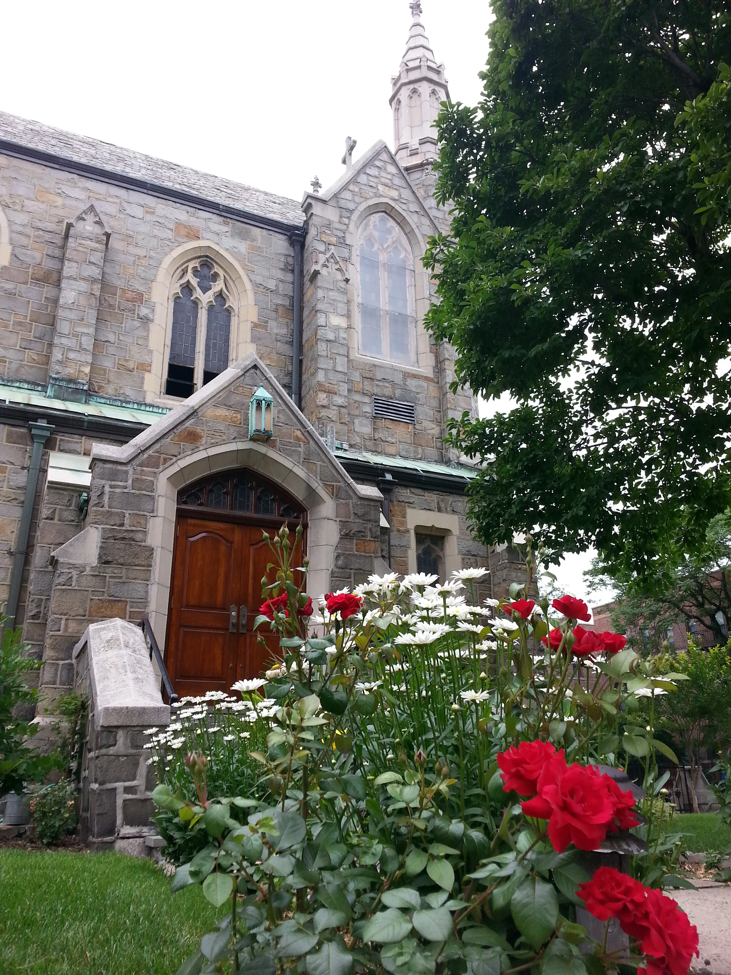 garden view 2.jpg