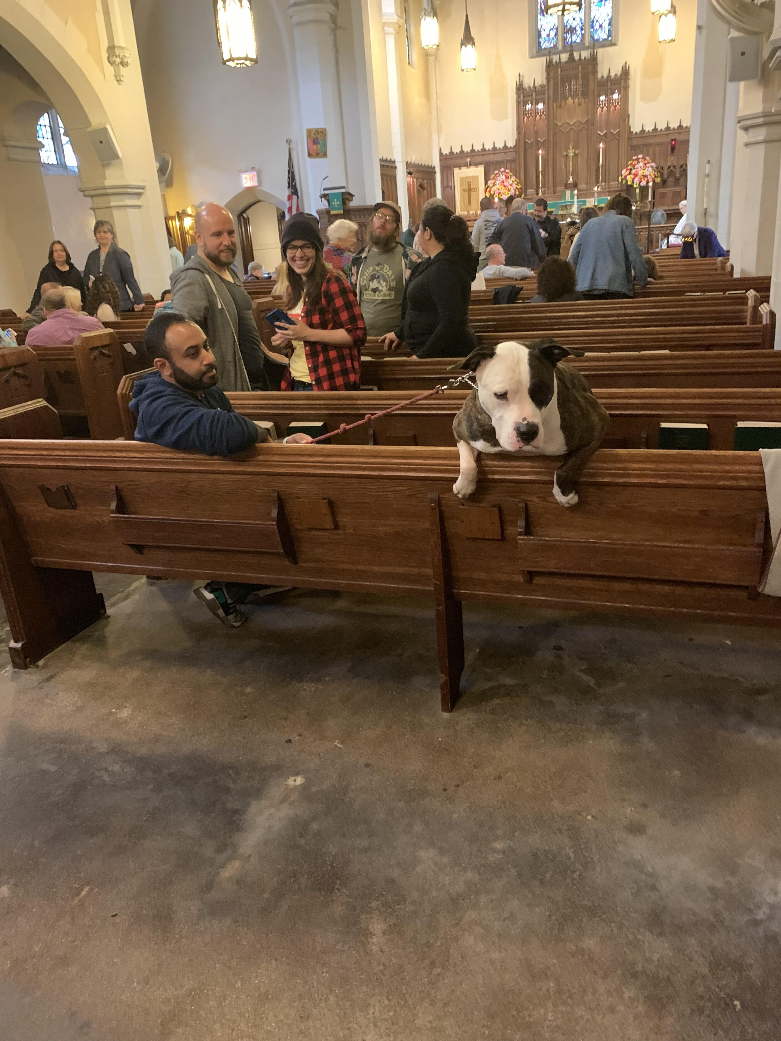 blessing animals1.jpg