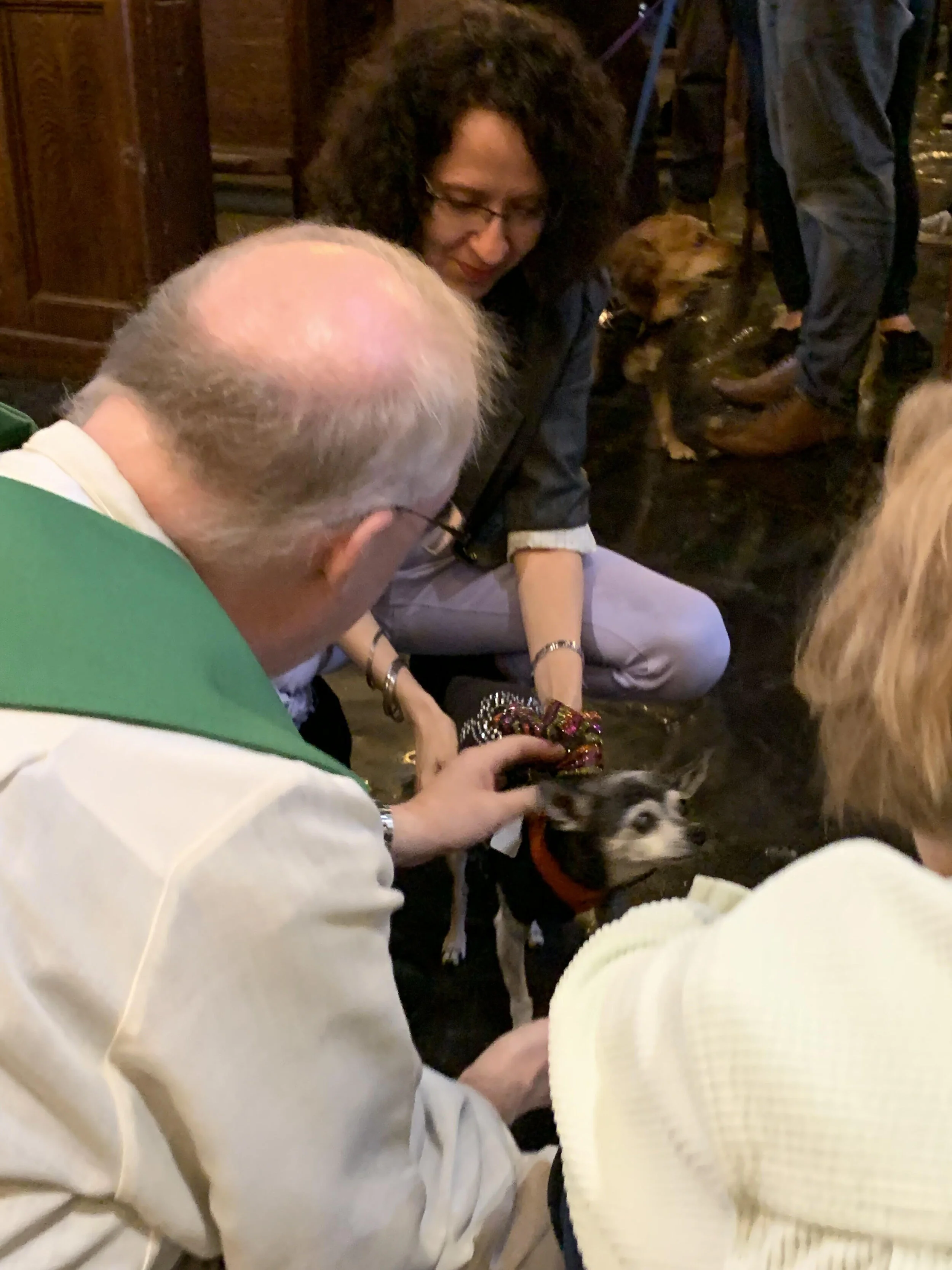 blessing animals2.jpg
