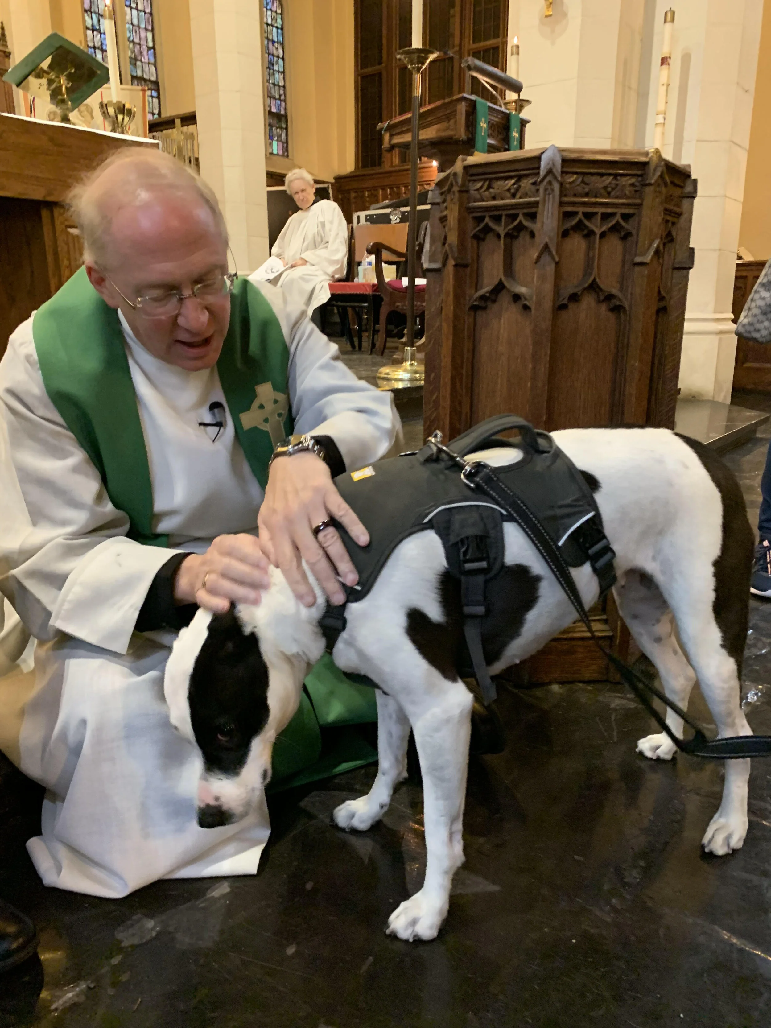 blessing animals4.jpg