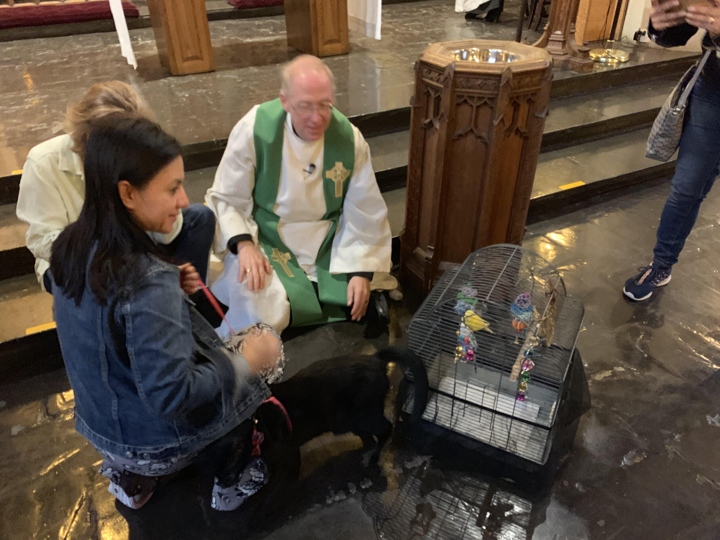 blessing animals5.jpg