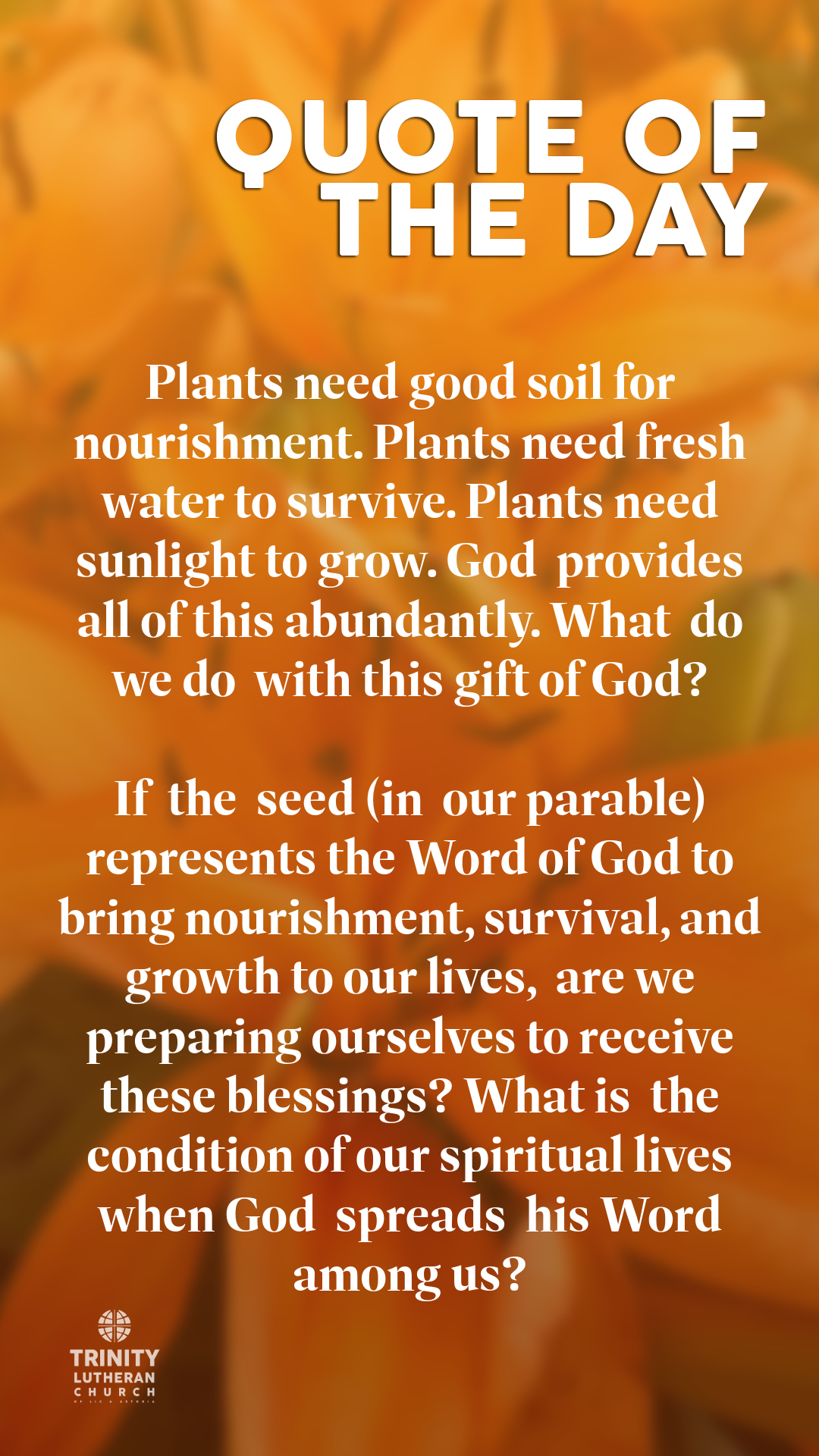 TWTRINITY_7_12_26-7.png