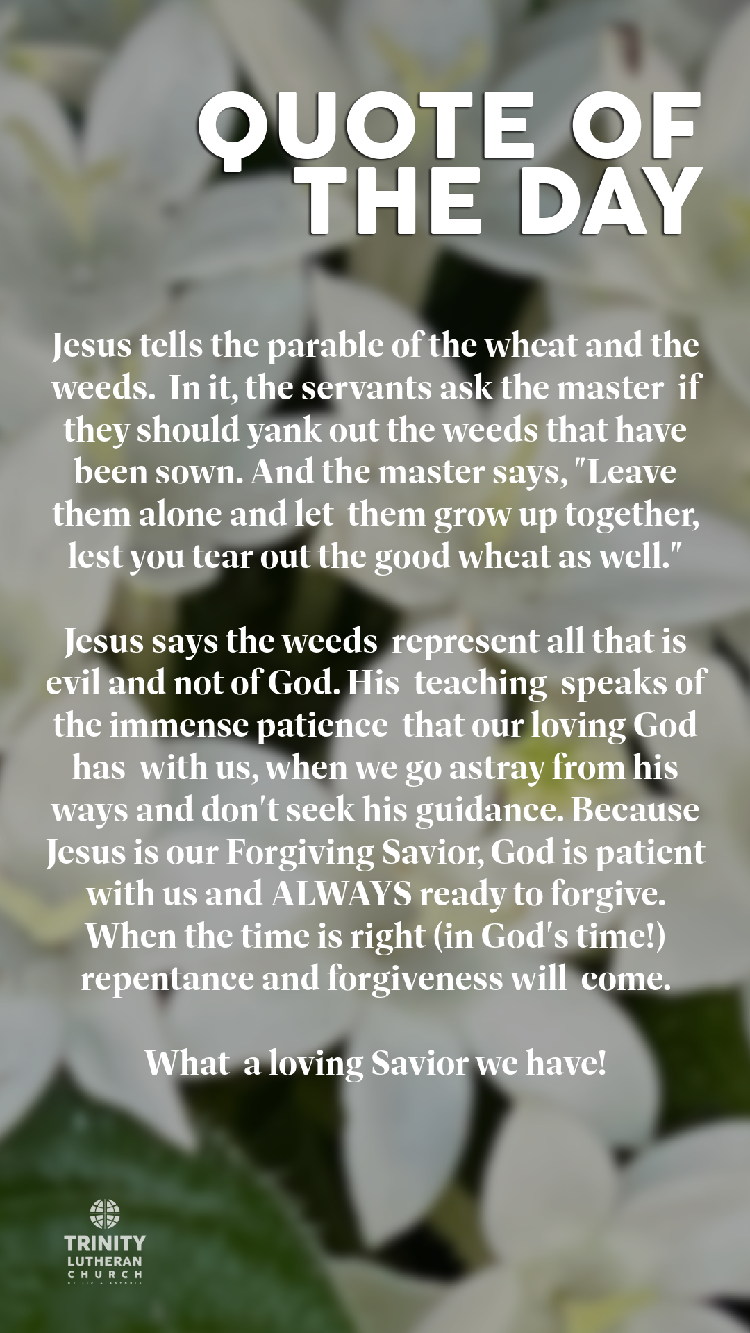 TWTRINITY_7_19_26-7.png