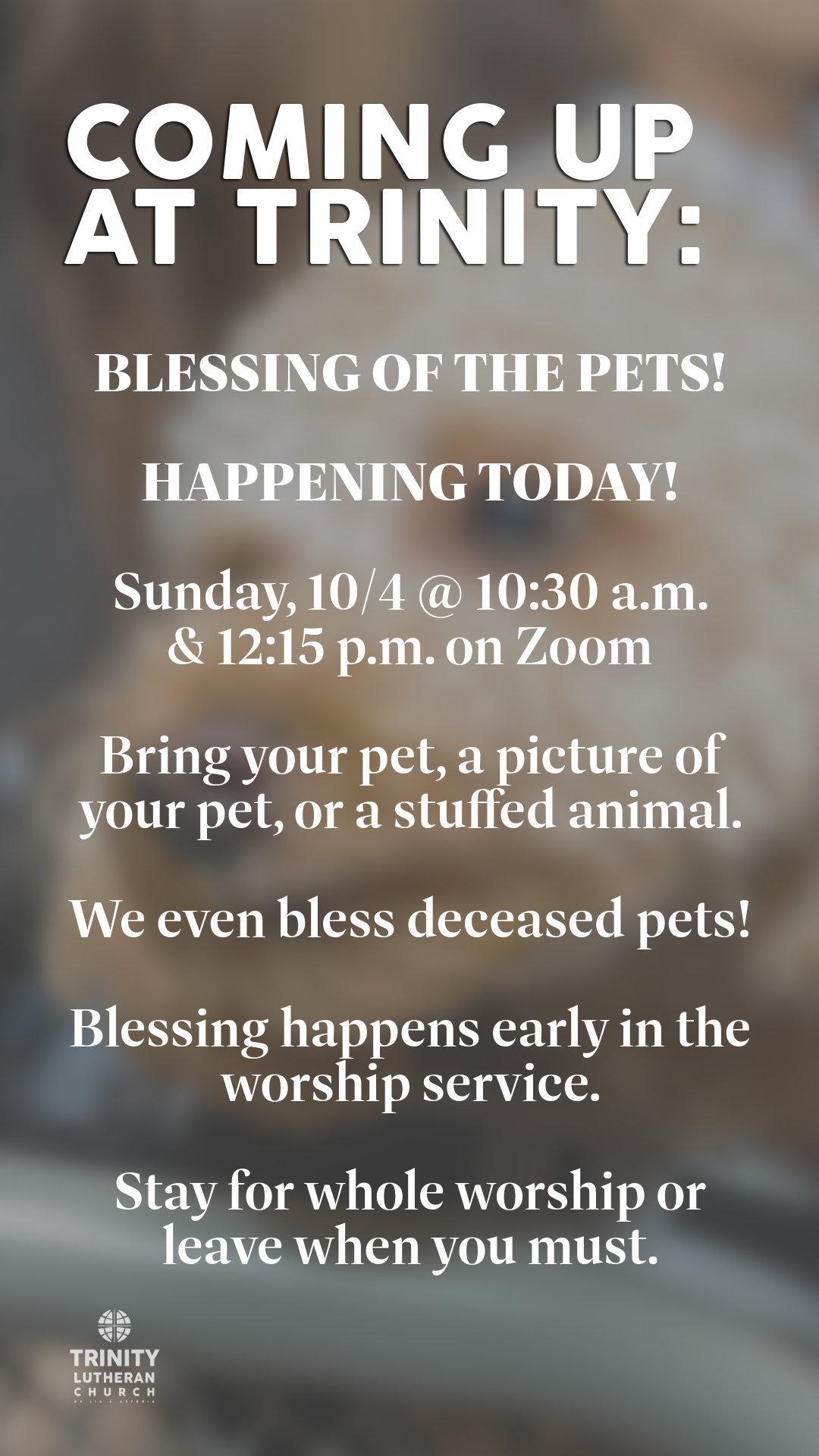 TWTRINITY_10_04_26-12.png