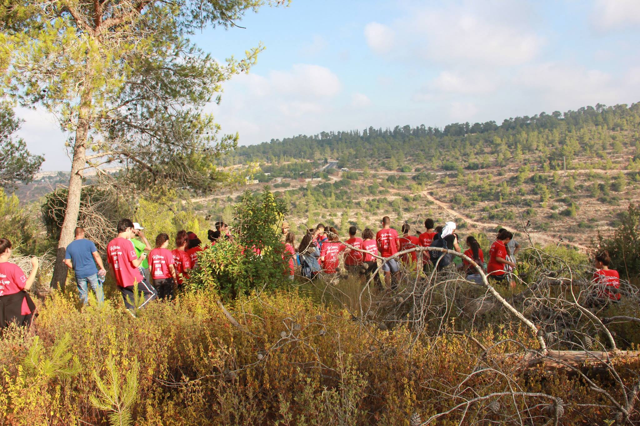 blog_2_2525557000.jpg