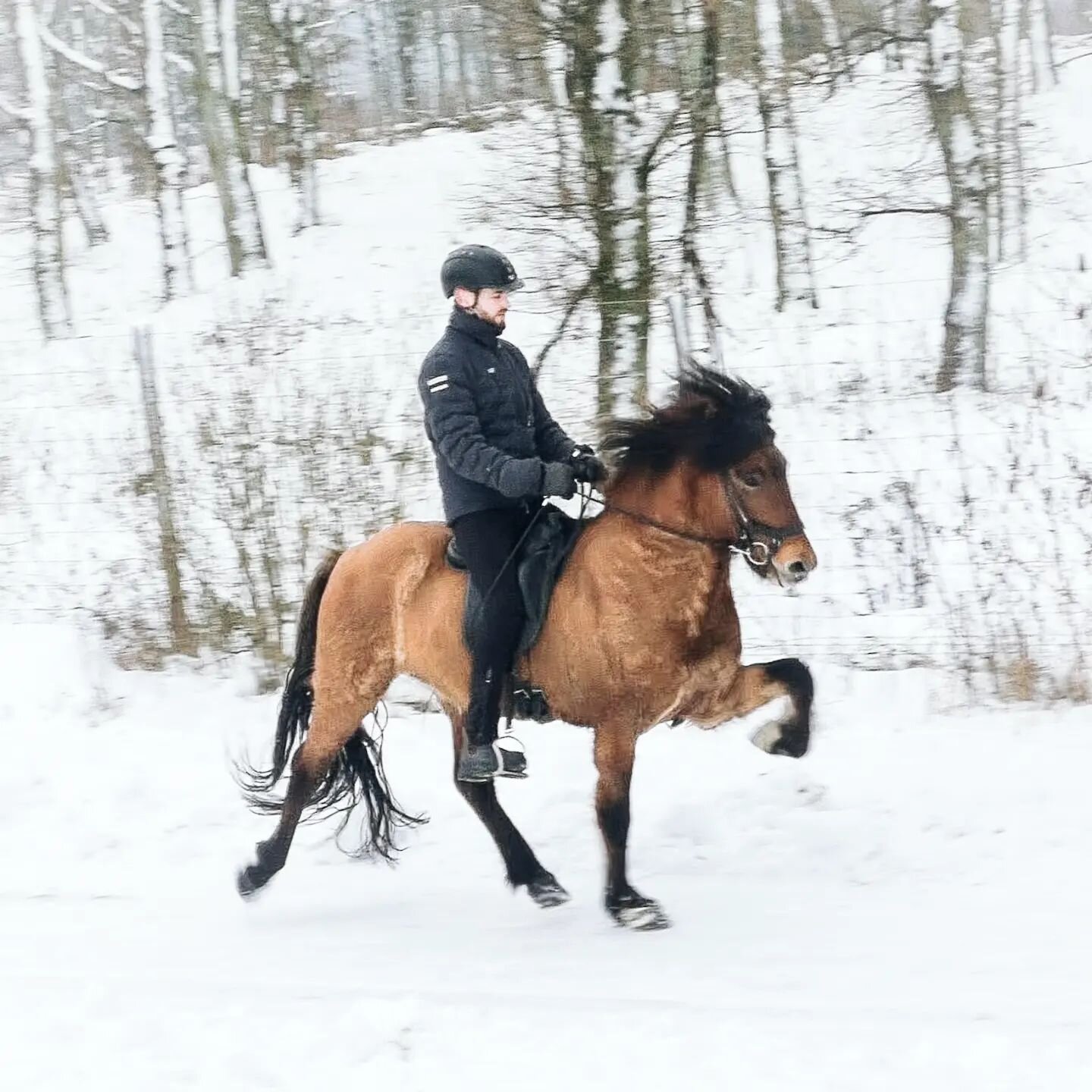 💎Happy Friday 💎

#valifr&aring;nvink&auml;rg&aring;rd
#vinterisk&aring;ne 
#islandsh&auml;st 
#islandpferde 
#icelandichorse