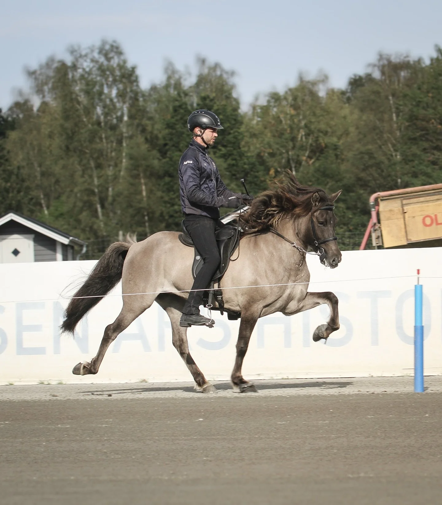 Al&iacute;sa fr&aring;n Moseg&aring;rden 6y, efter f&ouml;rsta rundan

Grattis @se_hastar till erat ⭐️-sto! 
Ext 8,24
Rid 8,07
Tot 8,13 

#al&iacute;safr&aring;nmoseg&aring;rden

#seh&auml;star #islandsh&auml;st #islandspferd #islandshest #t&ouml;lt 