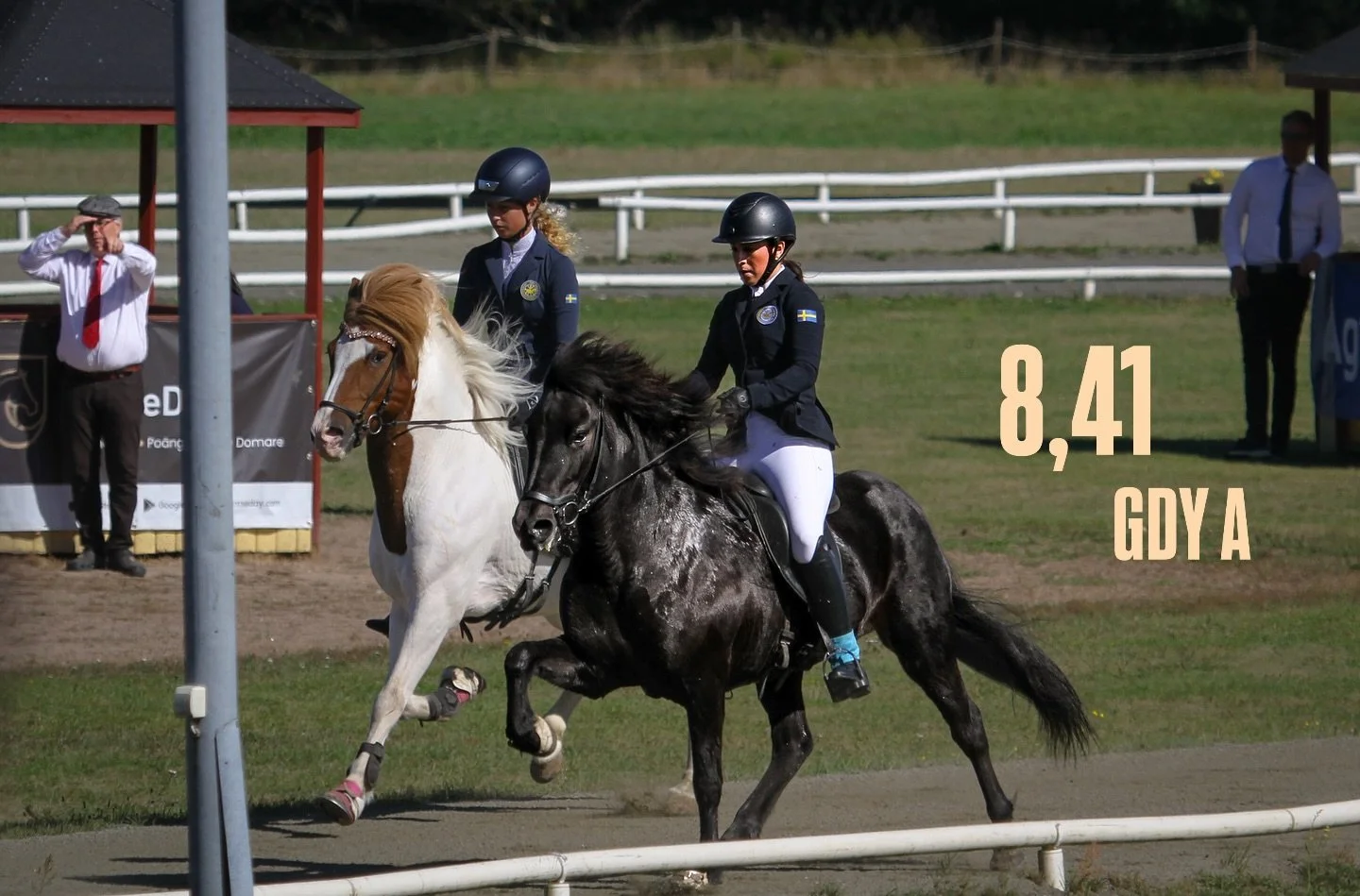 G&aelig;dingakeppni-SM 2025🇸🇪☀️

Milla och Tindra fr&aring;n Vink&auml;rg&aring;rd med 5e plats och 8,41 i po&auml;ng. Fantastiskt arbete av Milla med Tindra under &aring;ret 👏. Grattis &auml;garna Fam. &Ouml;stbye! 

Fick &auml;ven ett hedersamt 