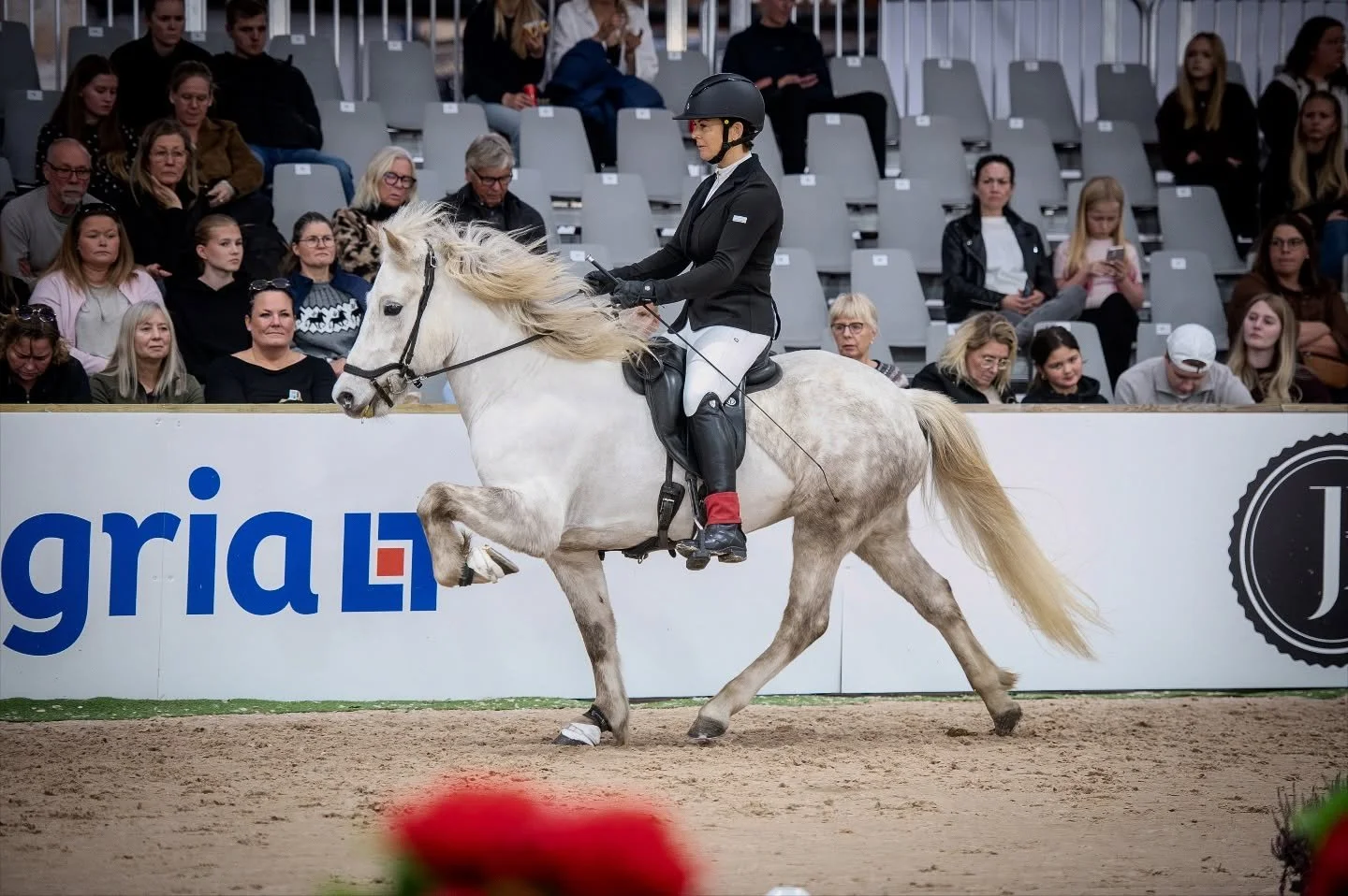 📸📸
UNA &auml;r ett lyckopiller 💊

Positivitismen f&aring;ngad av @hamstahastar &amp; @photohestur 

#unafr&aring;nvink&auml;rg&aring;rd 
#hr&oacute;ifr&aacute;flekkudal #tibr&aacute;fravink&aelig;rg&aring;rd 

#icelandichorse #islandsh&auml;st #is