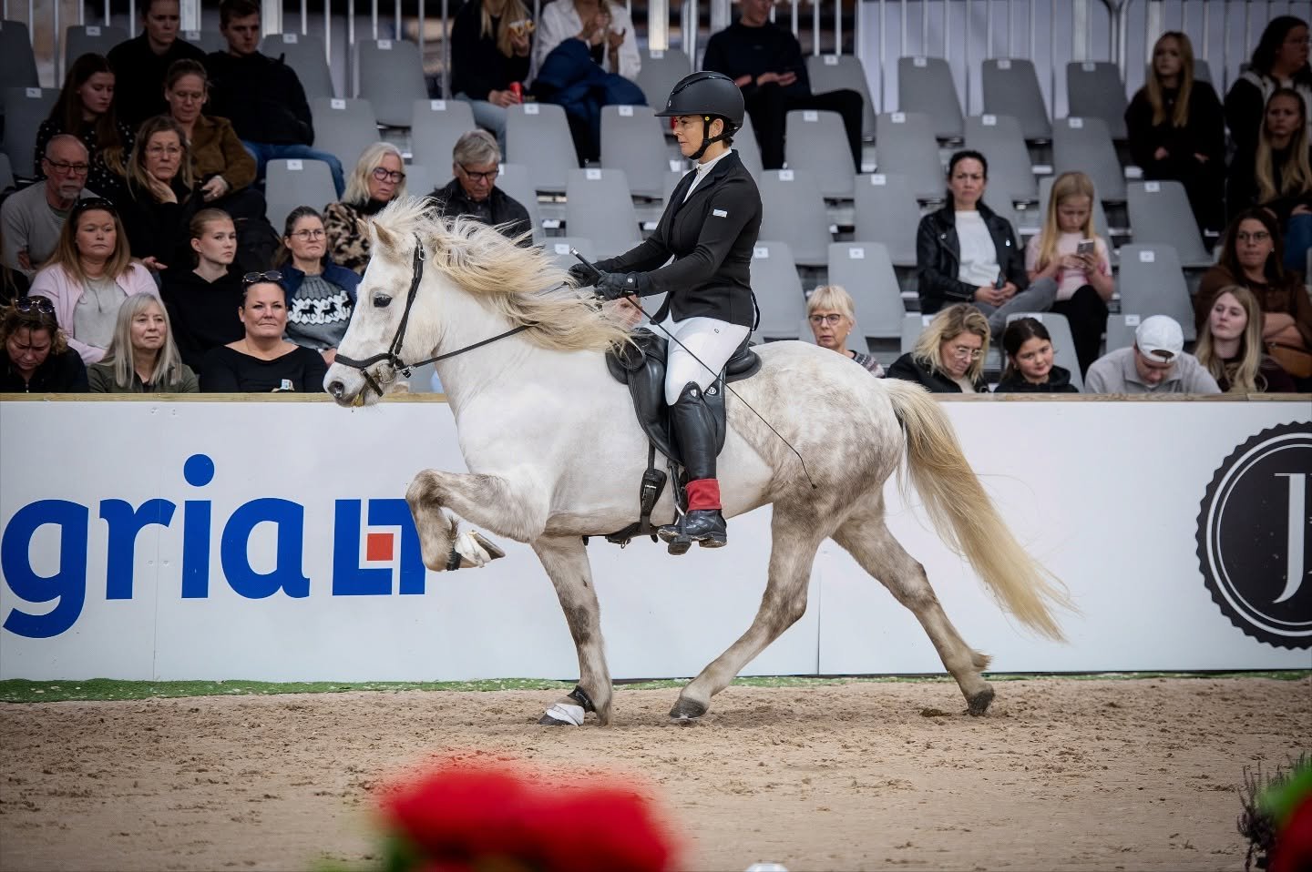 📸📸
UNA &auml;r ett lyckopiller 💊

Positivitismen f&aring;ngad av @hamstahastar &amp; @photohestur 

#unafr&aring;nvink&auml;rg&aring;rd 
#hr&oacute;ifr&aacute;flekkudal #tibr&aacute;fravink&aelig;rg&aring;rd 

#icelandichorse #islandsh&auml;st #is