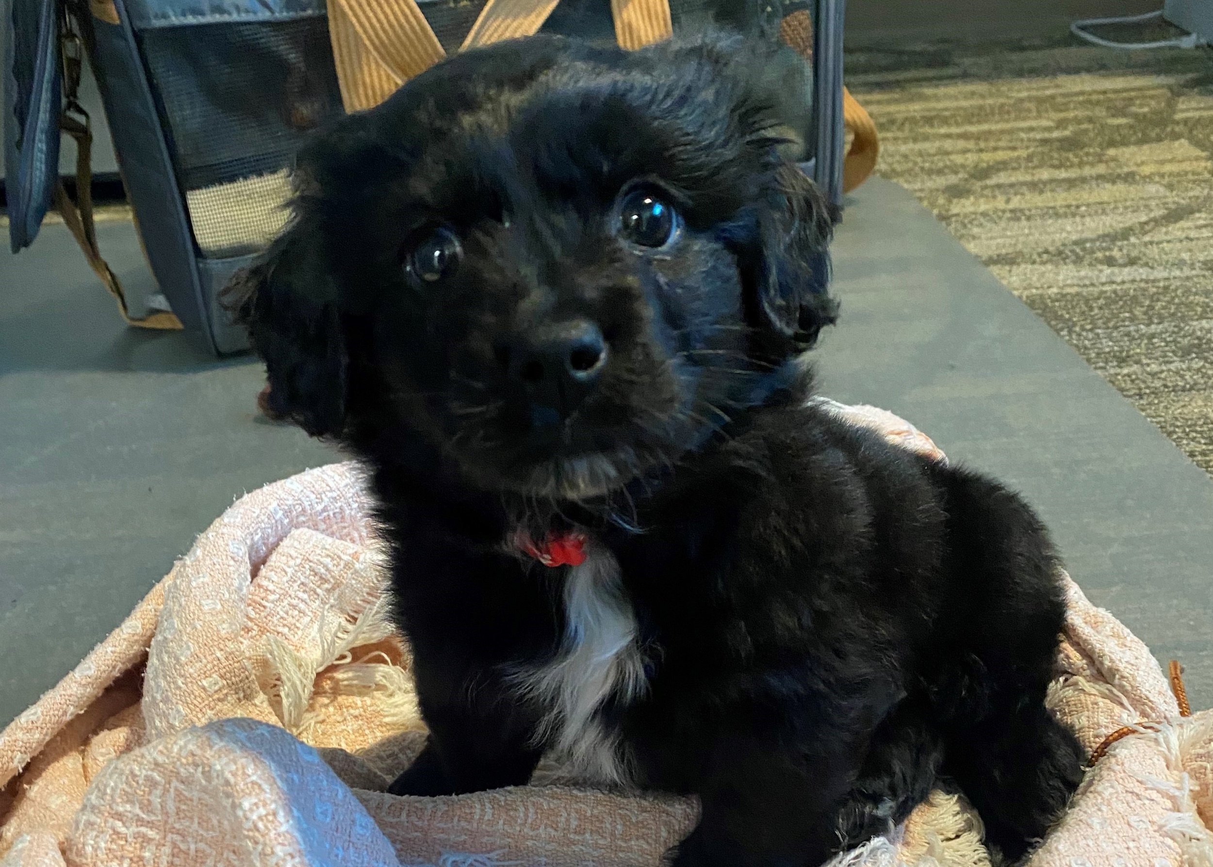 Minneapolis Family Dentist — Diamond Lake Dental