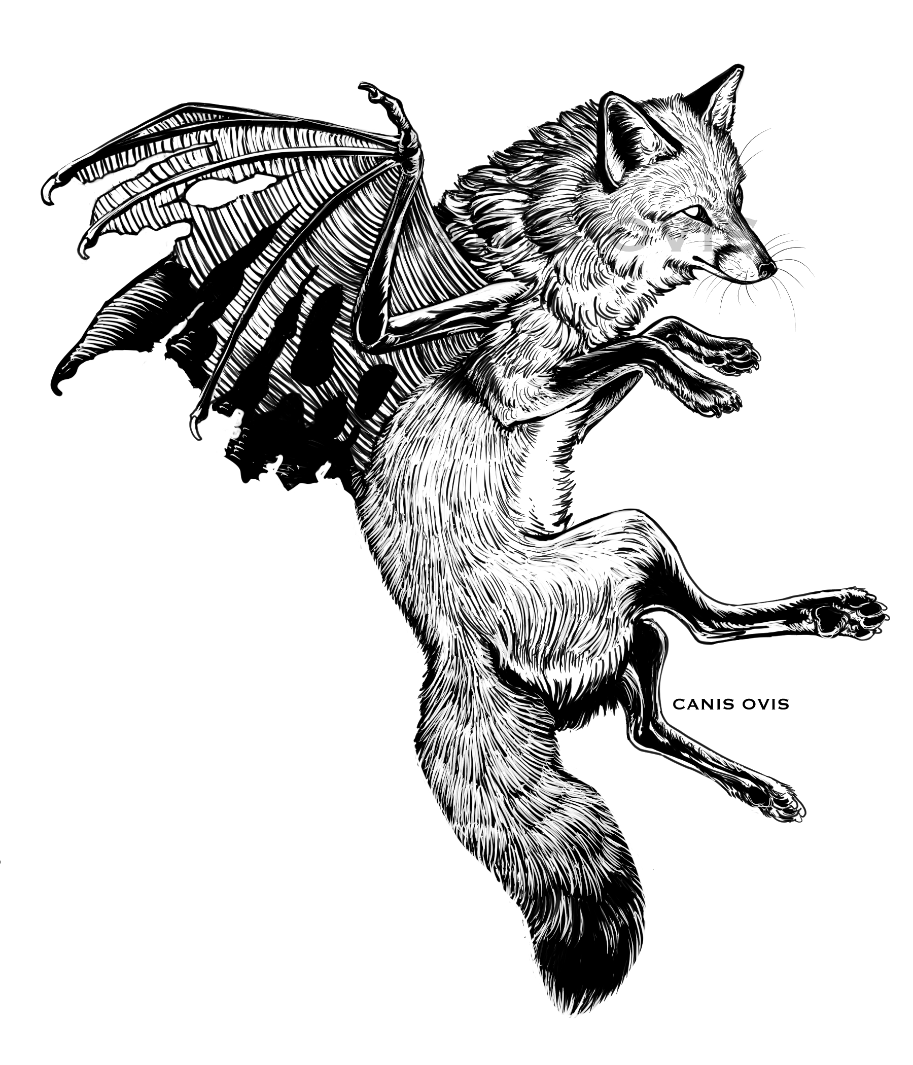 FoxTattooweb.png