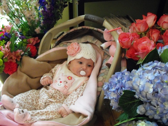 violet looking at hydrangea.jpg