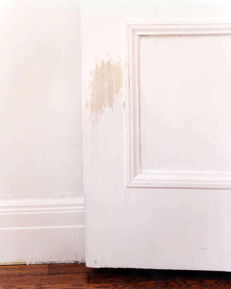 AR_HOME_DogsScratchesBathroomDoor_PrintHiResRet_APF.jpg