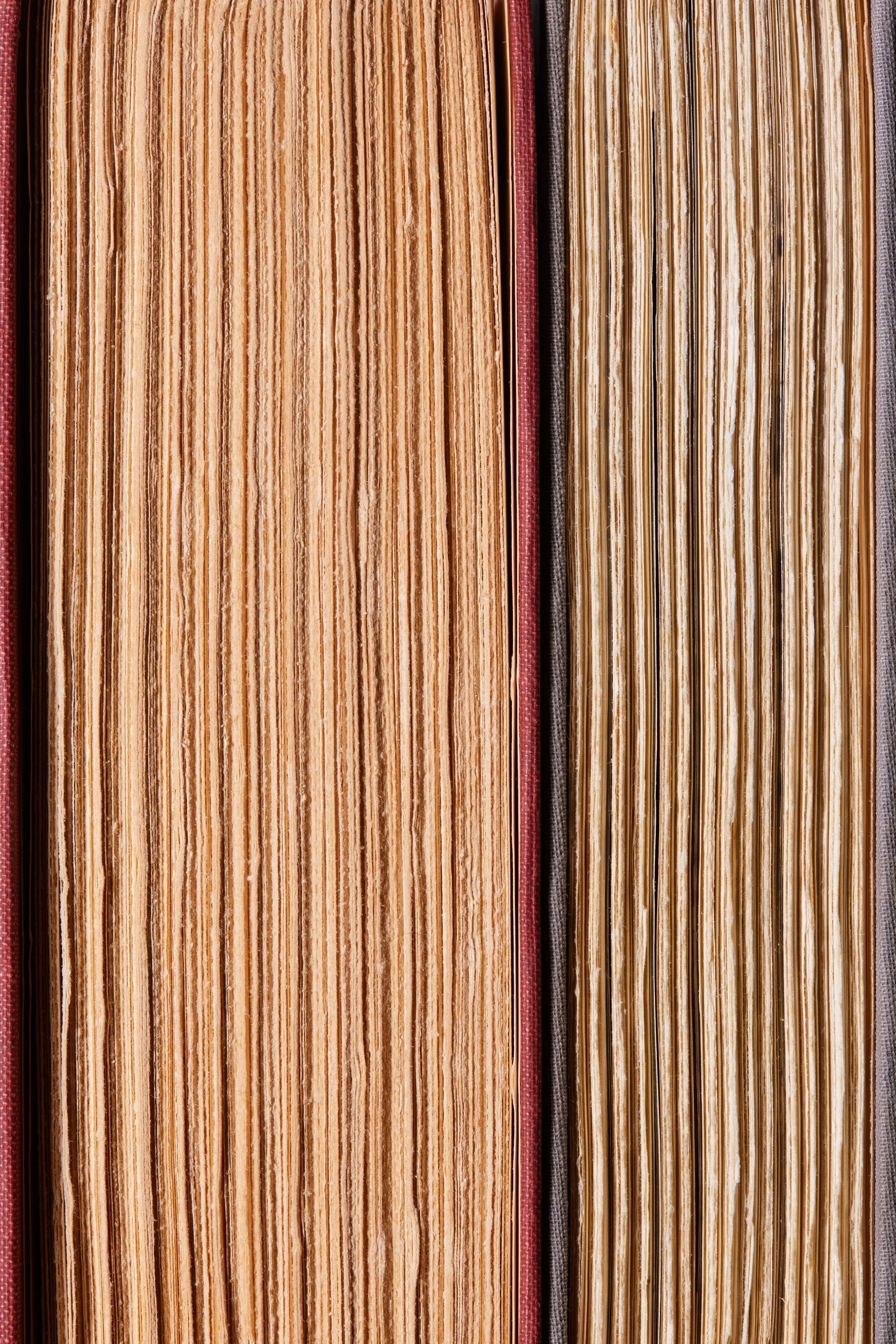  EXTRAORDINARY POPULAR DELUSIONS AND THE MADNESS OF CROWDS by Charles MacKay 1852, reprint 1932  THE MARCH OF FOLLY: FROM TROY TO VIETNAM by Barbara W. Tuchman 1984 