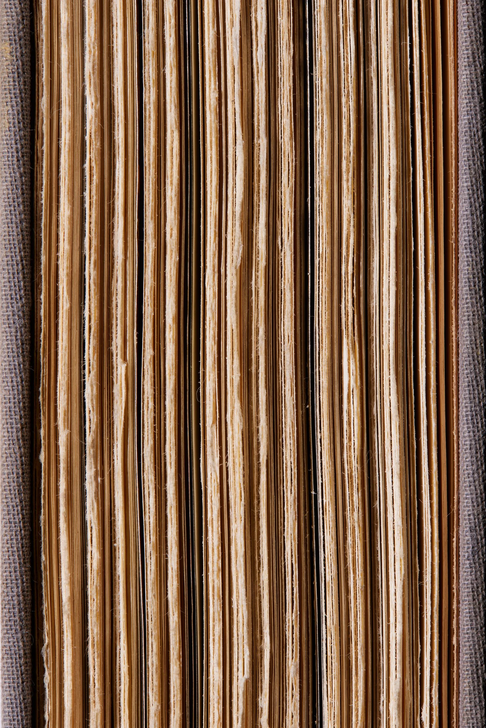  THE MARCH OF FOLLY: FROM TROY TO VIETNAM by Barbara W. Tuchman 1984 