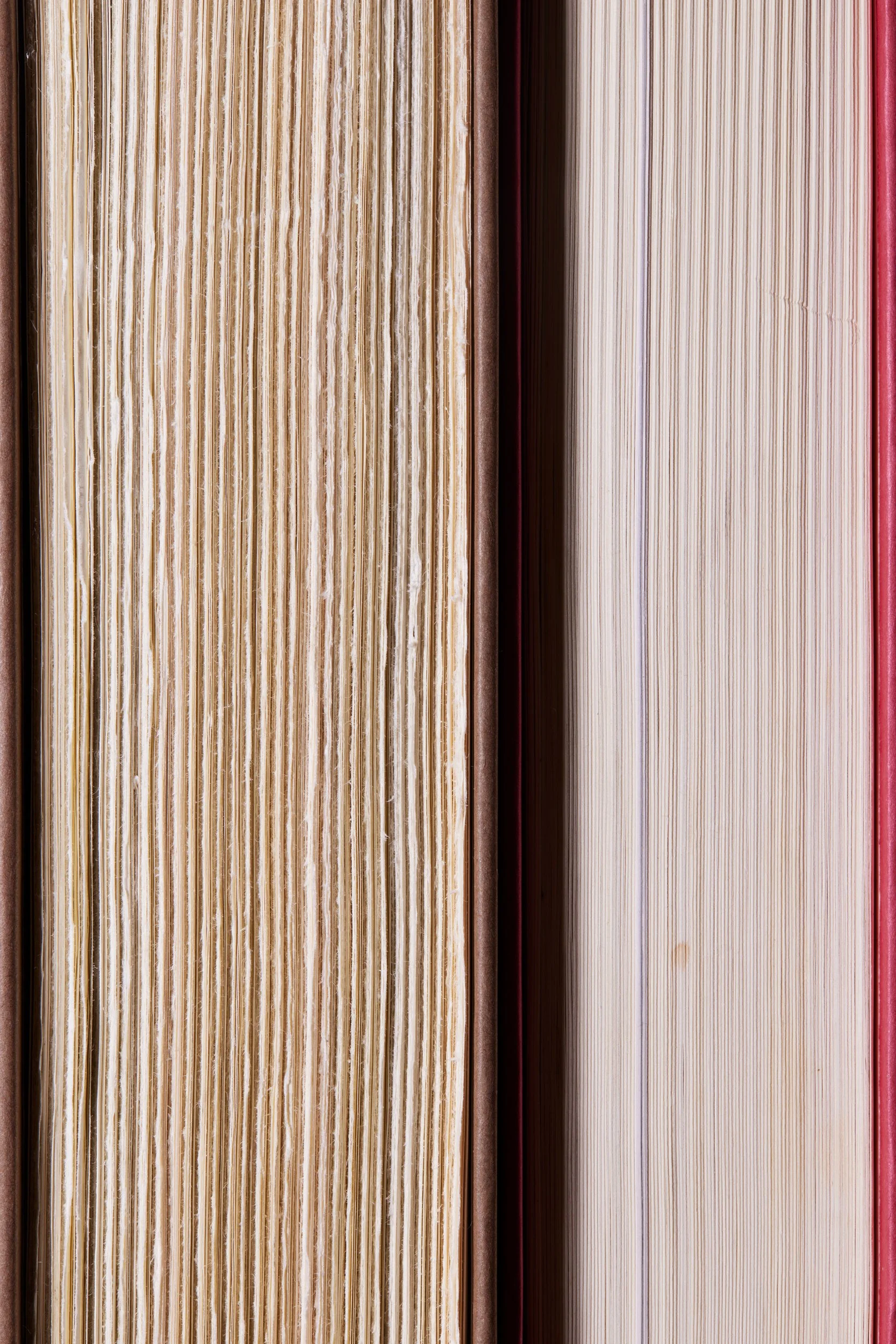  TEAM OF RIVALS: THE POLITICAL GENIUS OF ABRAHAM LINCOLN by Doris Kearns Goodwin 2005  LINCOLN by David Herbert Donald 1995 