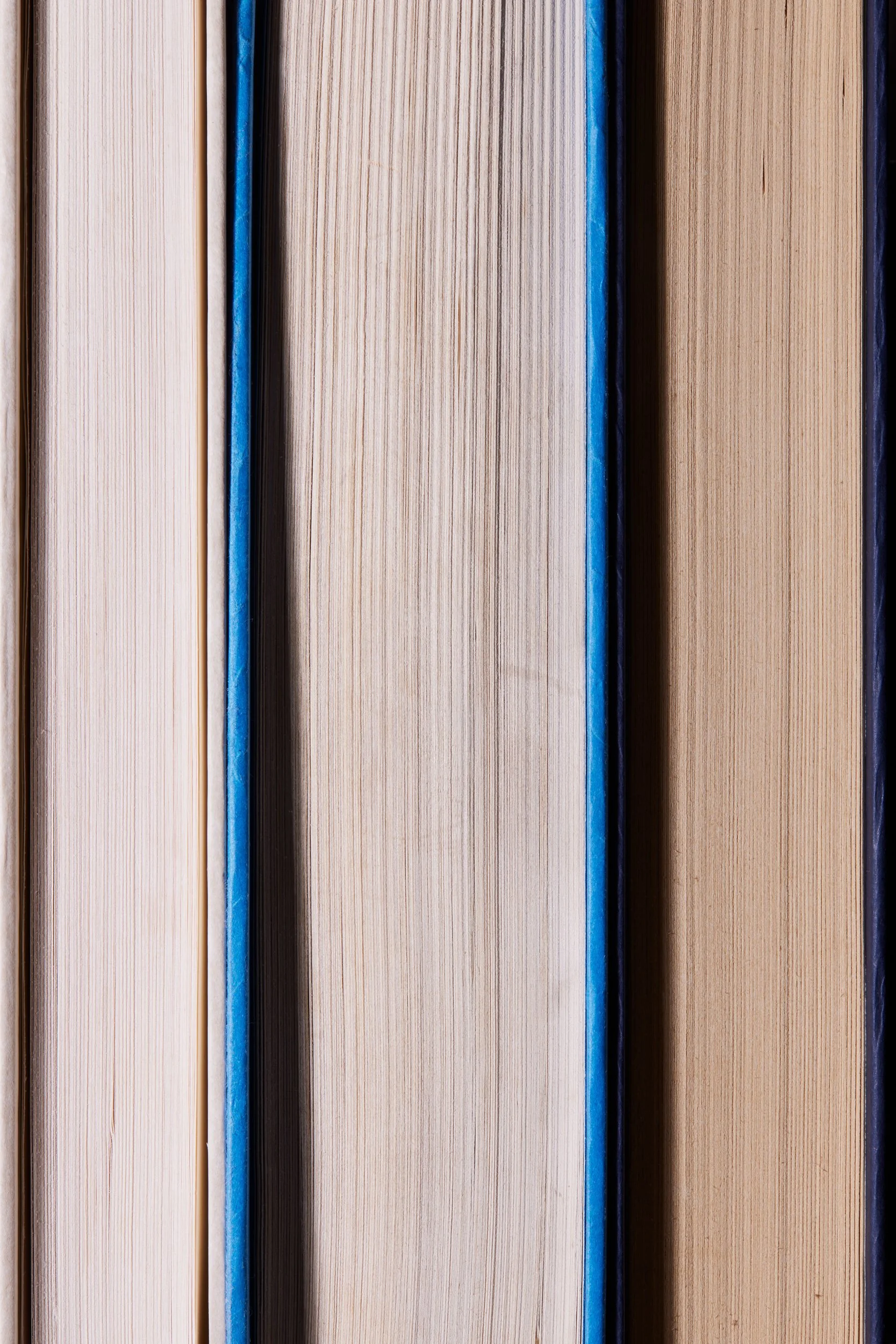  WHEN CHARACTER WAS KING: A STORY OF RONALD REGAN OF RONALD REGAN by Peggy Noonan 2001  PRESENT REGAN: THE ROLE OF A LIFETIME by Lou Cannon 1991  GAME CHANGE by John Heilemann and Mark Halperin 2010 