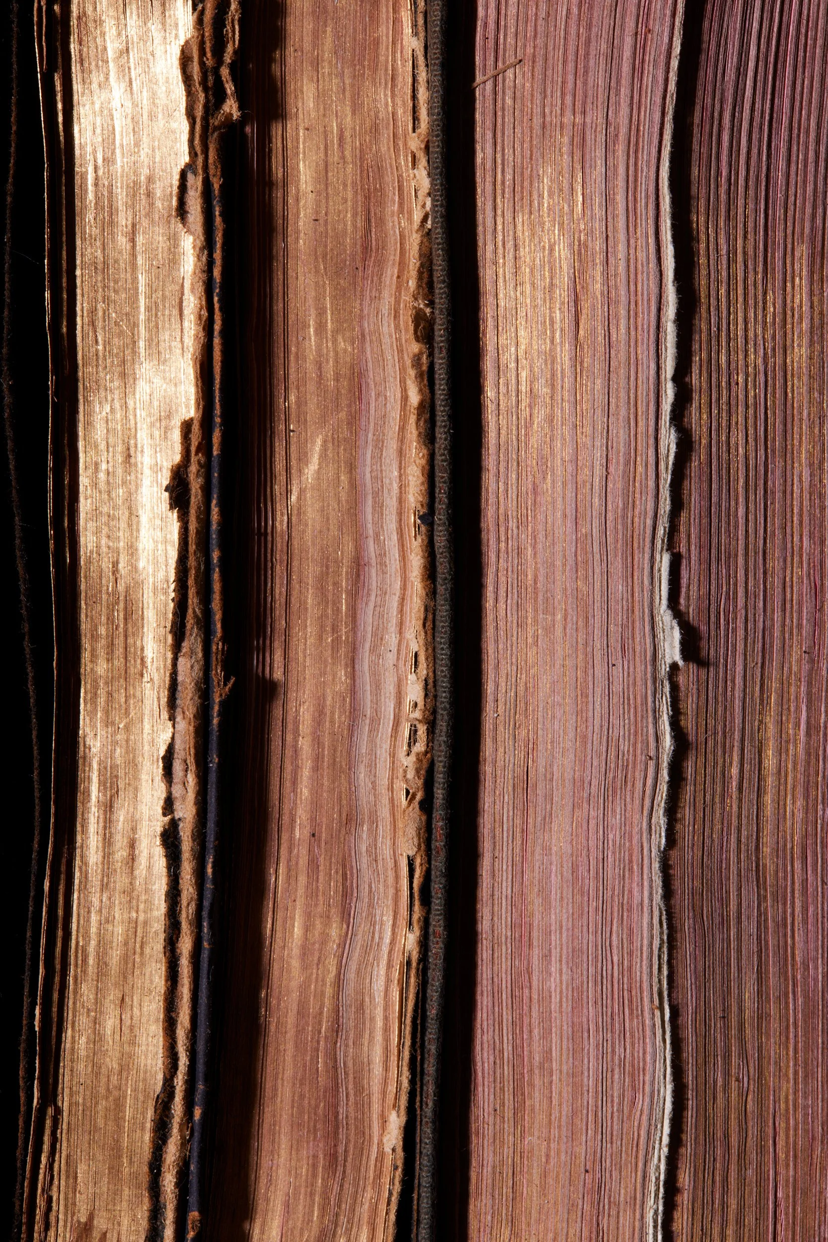  THE BOOK OF COMMON PRAYER  THE HYMNAL OF THE PROTESTANT EPISCOPAL CHURCH  THE CATHOLIC MISSAL 