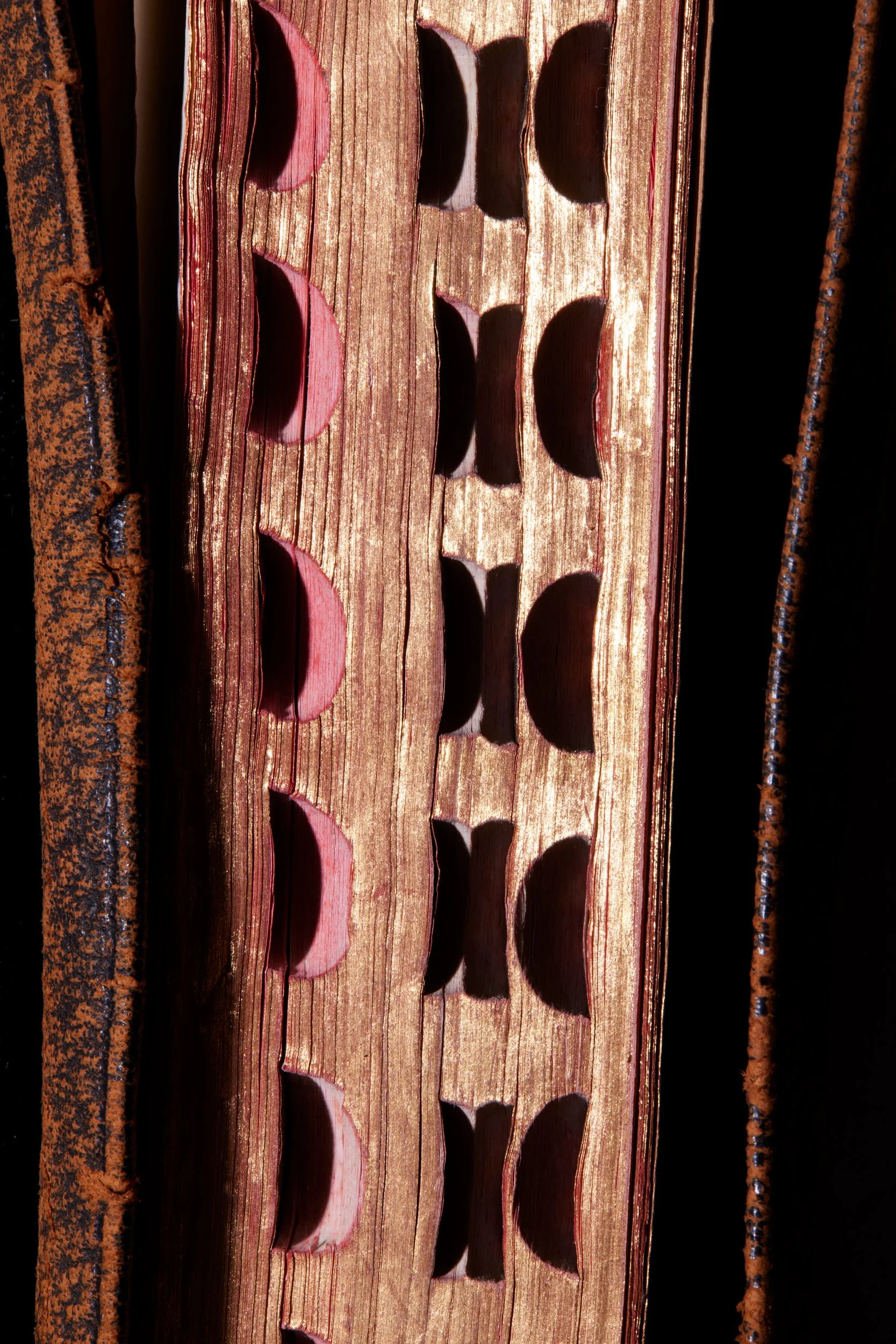  THE HOLY BIBLE (inscribe Grandpa to Dorothy, 1916) 