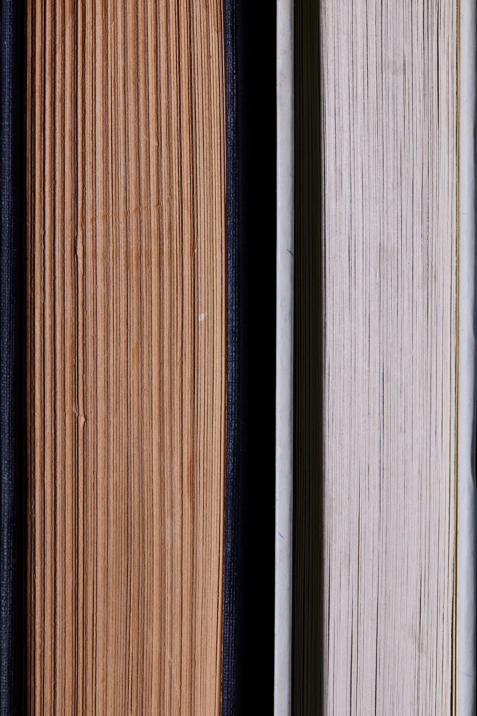  THE ROVER by Joseph Conrad  ENDURANCE: AN EPIC OF POLAR ADVENTURE by Frank Arthur Worsley 