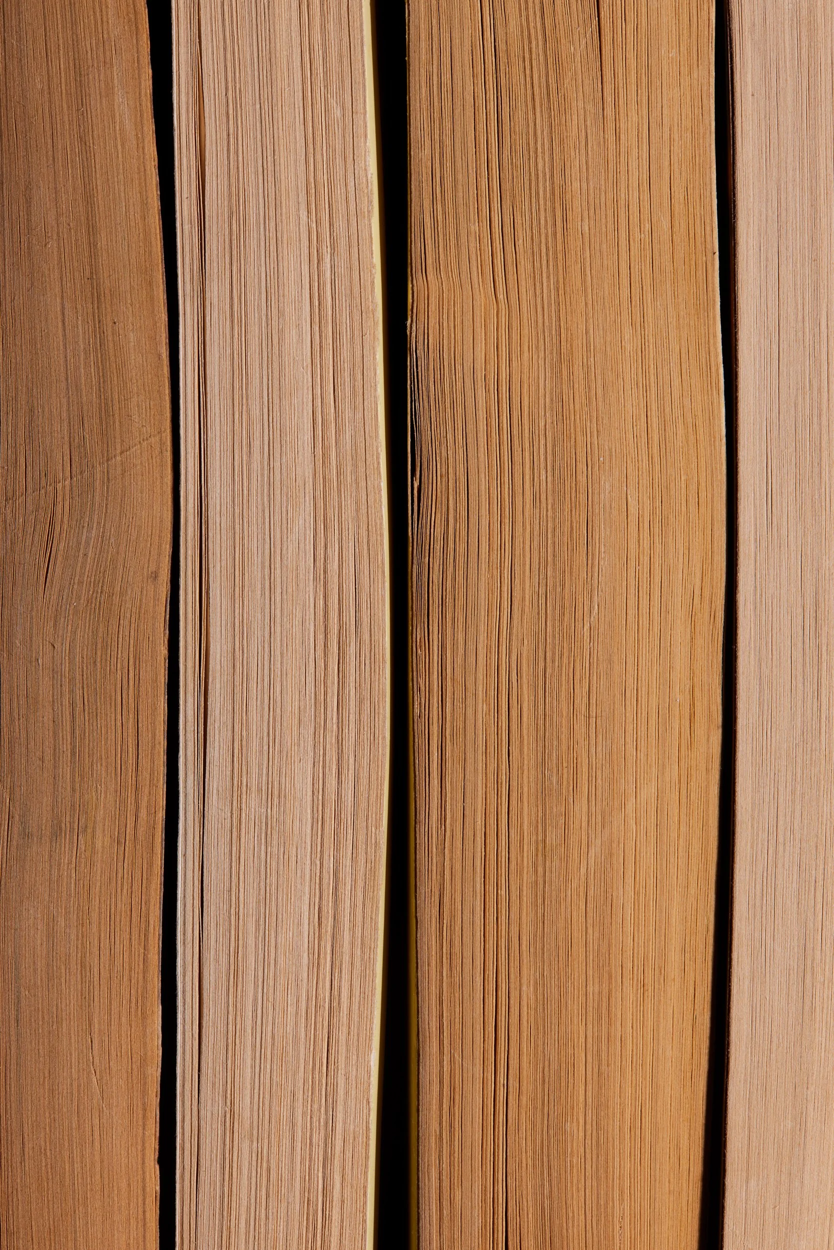  THE ORESTEIA by Aeschylus  HISTORY OF THE PELOPONNESIAN WAR by Thucydides  THE ODYSSEY by Homer  THE ILIAD by Homer 