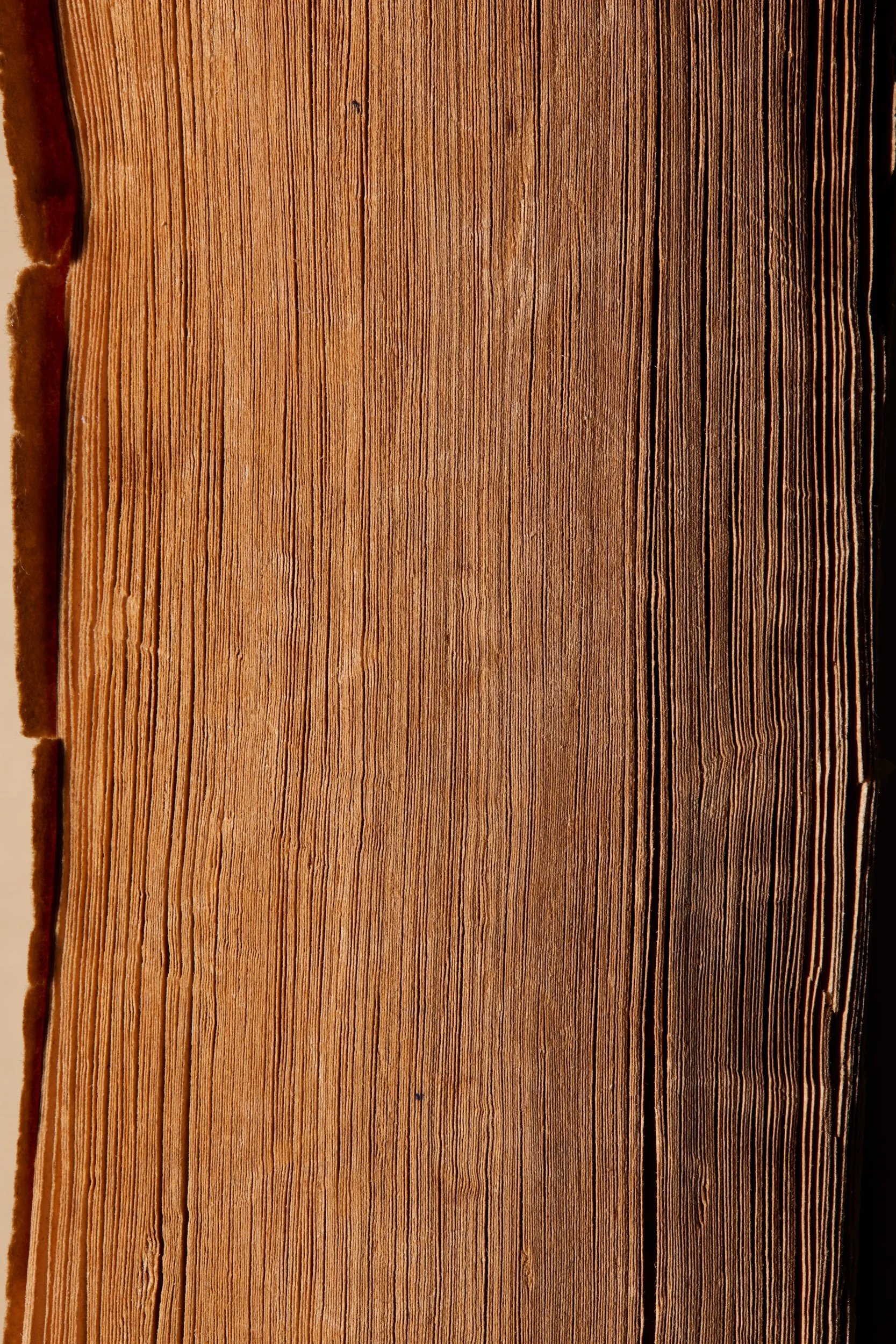  THE STORIES OF F. SCOTT FITZGERALD Introduction by Malcolm Crowley 1951 