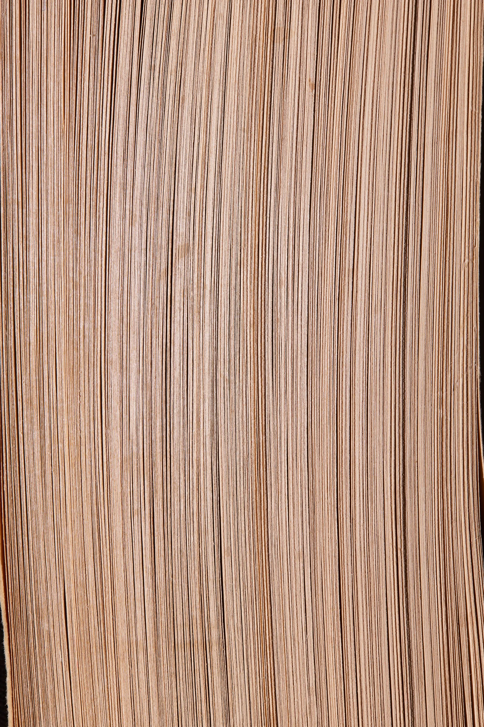  ERNEST HEMINGWAY: SELECTED LETTERS 1917-1961 Edited by Carlos Baker 