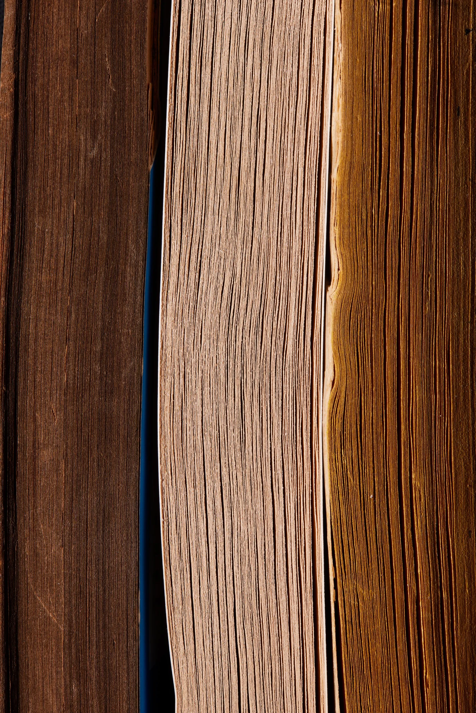  THE TROPIC OF CANCER by Henry Miller 1934   THE CATCHER IN THE RYE by J. D. Salinger 1951  THE POWER OF POSITIVE THINKING by Norman Vincent Peale 1952 