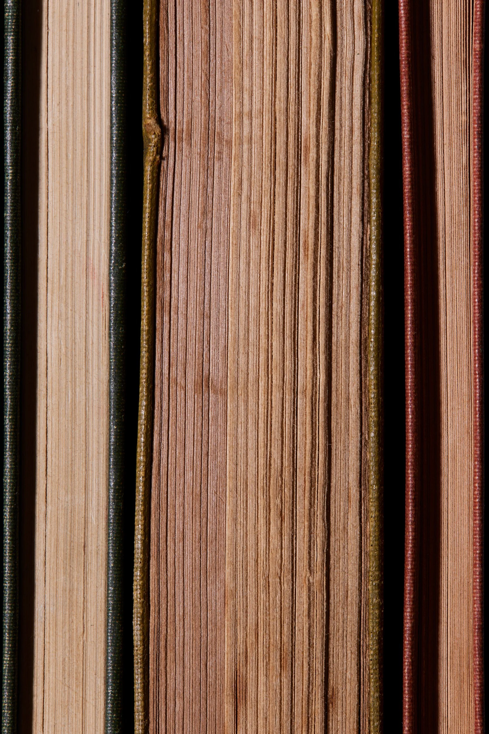  THE TRAGEDY OF JULIUS CAESAR by William Shakespeare Edited by Arthur Dinnes Revised by William Strunk 1915  PALGRAVES GOLDEN TREASURY OF POETRY Edited by Ernest Rhys 1906  POEM<S OF JOHN KEATS Edited by Frank P. Bachman 1926 