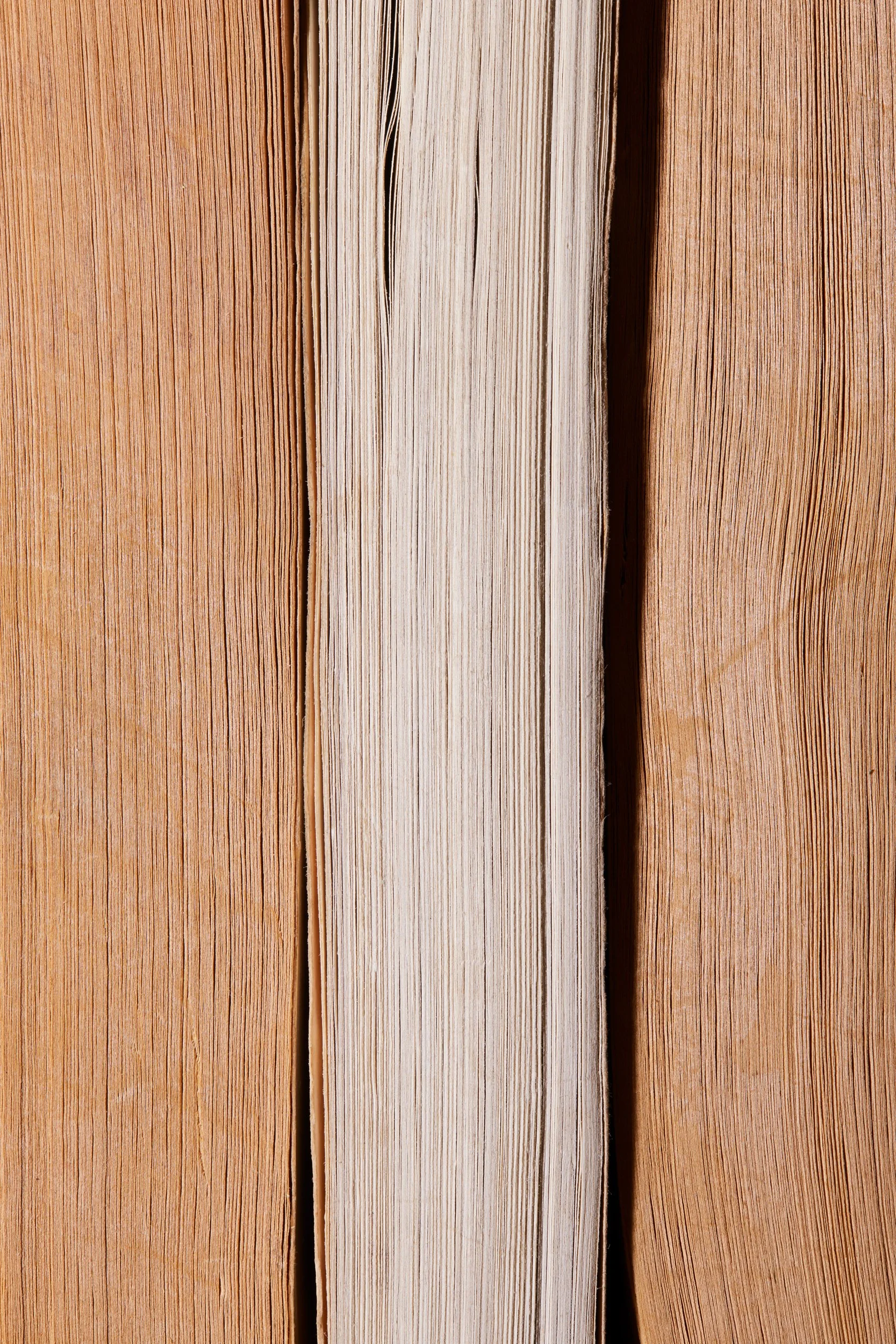  NICHOLAS NICKELBY by Charles Dickens  A TALE OF TWO CITIES by Charles Dickens   GREAT EXPECTATIONS by Charles Dickens 