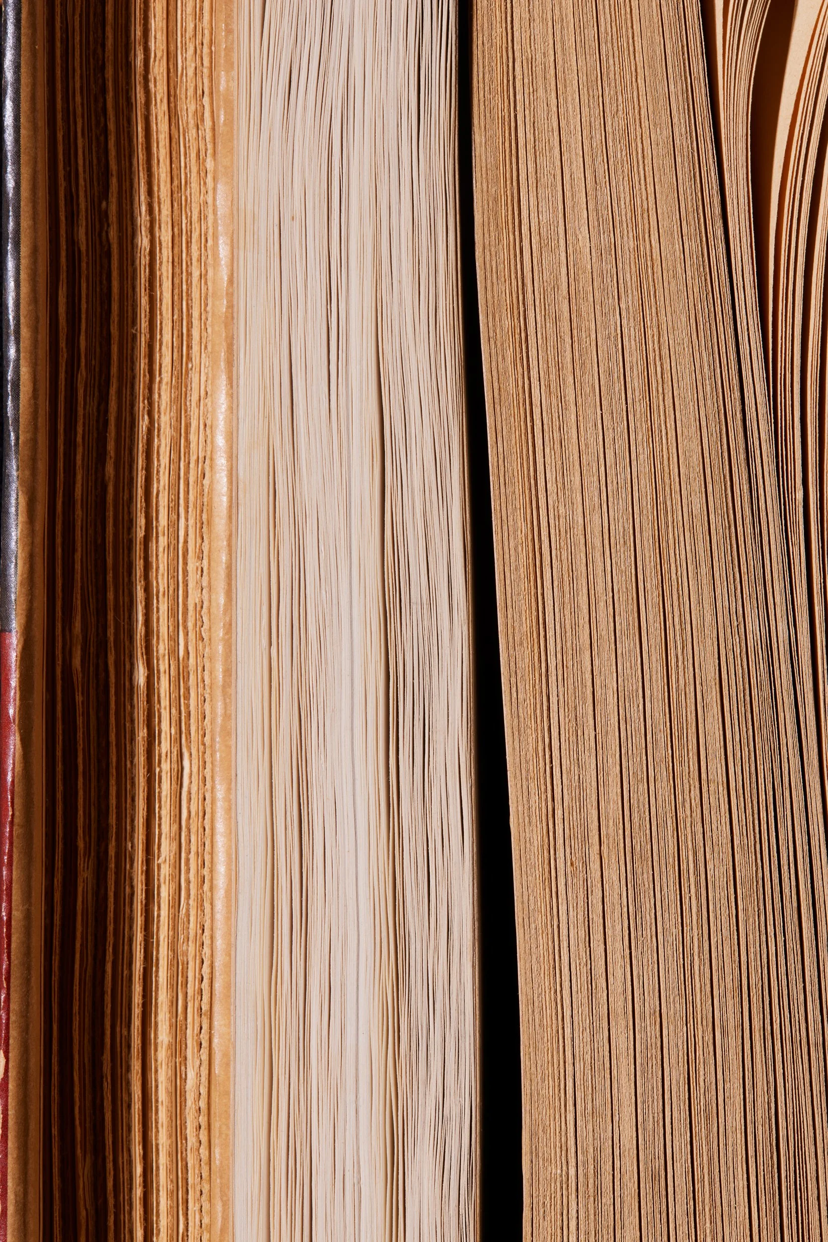  LESLIE STEPHENS: HIS THOUGHTS AND CHARACTER IN RELATION TO HIS TIME by Noel Annan   FAULKNERS FAMILIES: A SOUTHERN SAGA by Gwendolyn Chabrier  INTELLECTUALS by Paul Johnson 