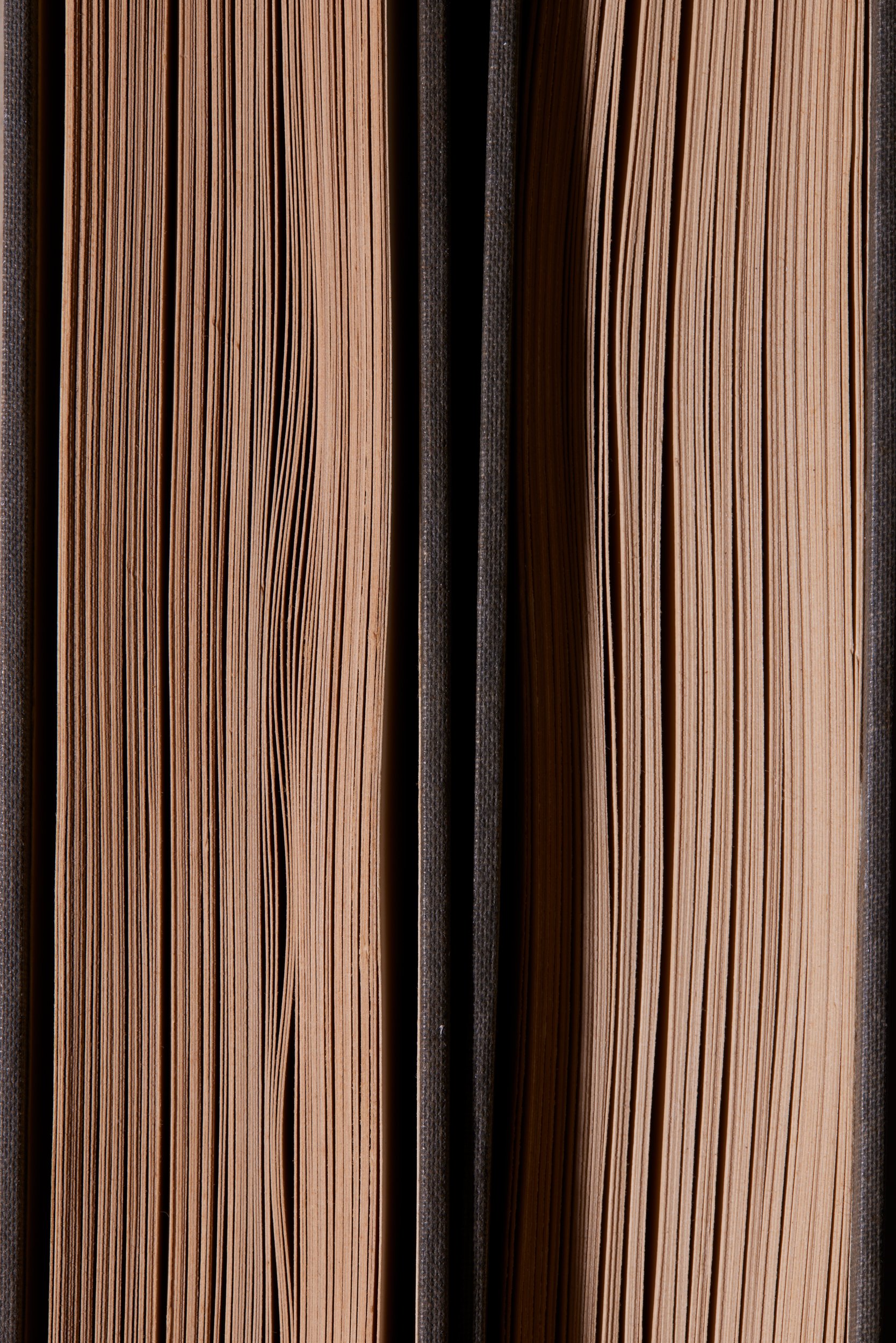  THE HISTORY OF MODERN PAINTING: FROM BAUDELAIRE TO BONNARD 1949   THE HISTORY OF MODERN PAINTING: MATISSE, MUNCH, ROUALT 1950 