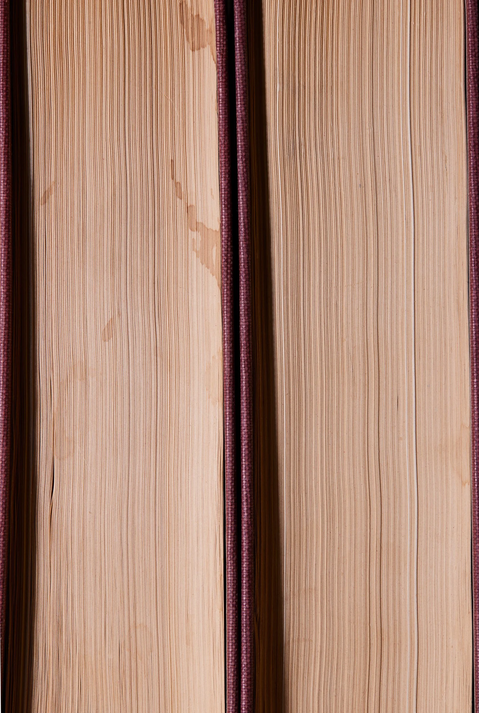  THE STORY OF CIVILIZATION Vol I: OUR ORIENTAL HERITAGE by Will Durant  THE STORY OF CIVILIZATION Vol V: THE AGE OF FAITH by Will Durant 