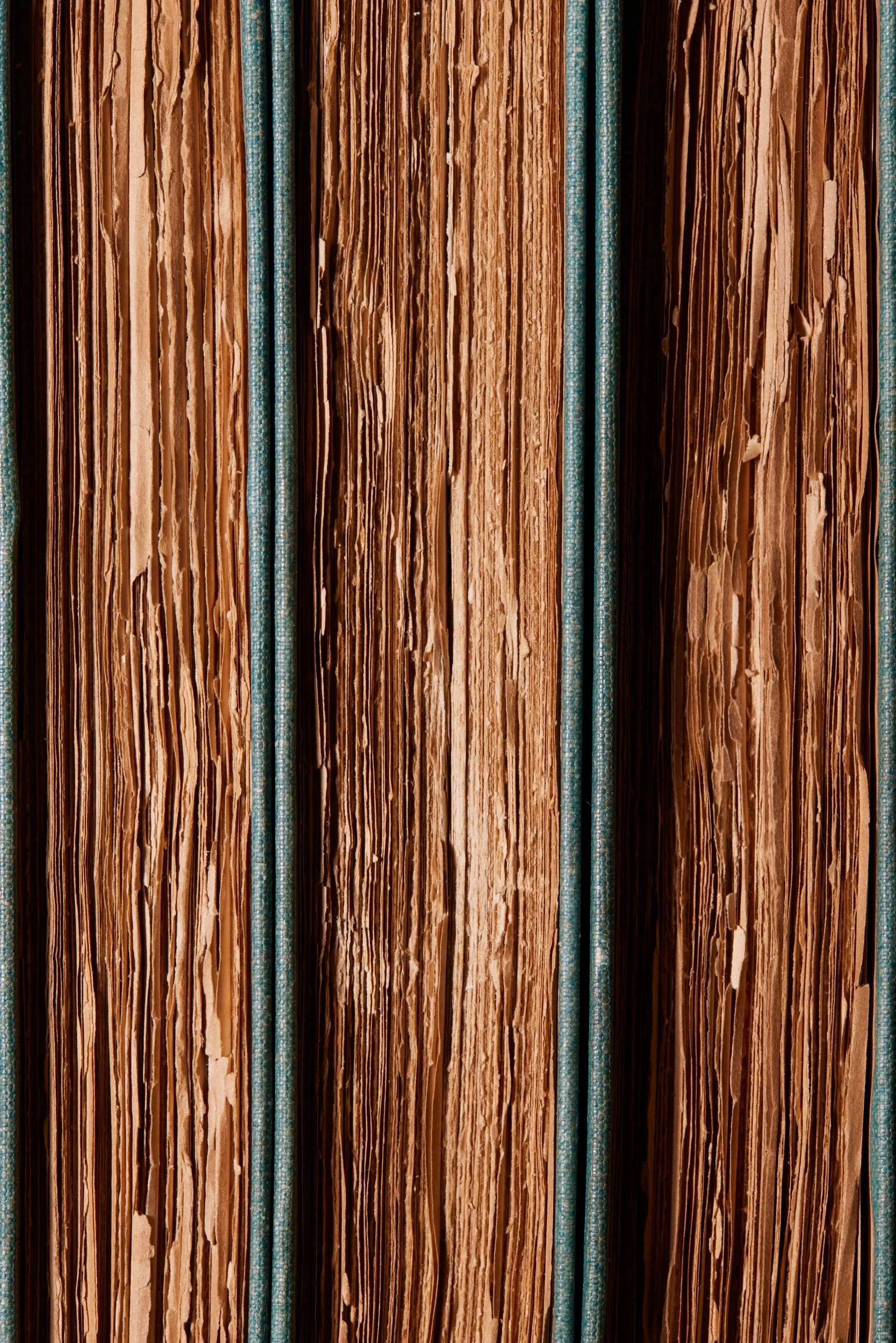  THE WORKS OF CHARLES LAMB Vols 1-3 1895 