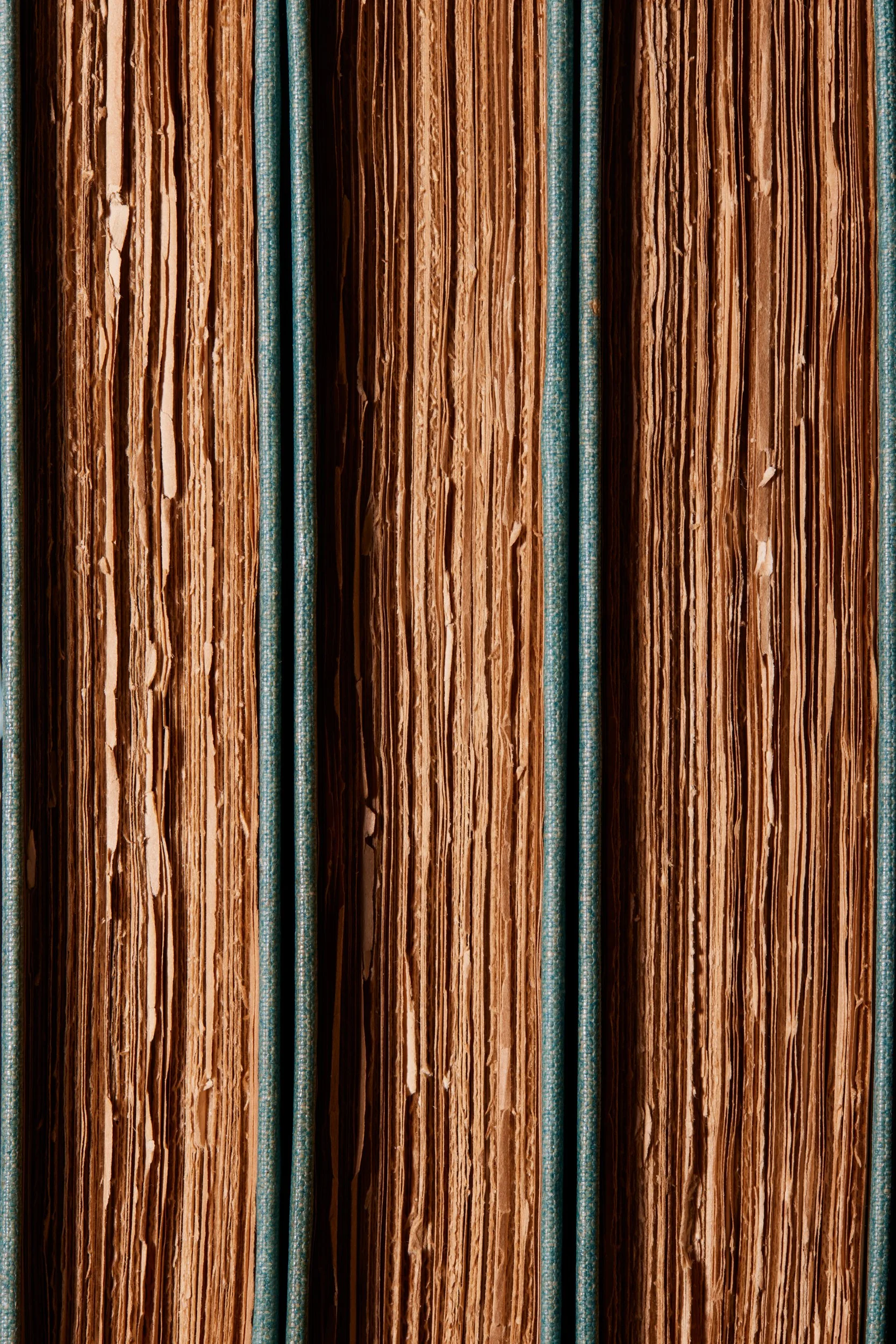  THE WORKS OF CHARLES LAMB Vols 4-6 1895 