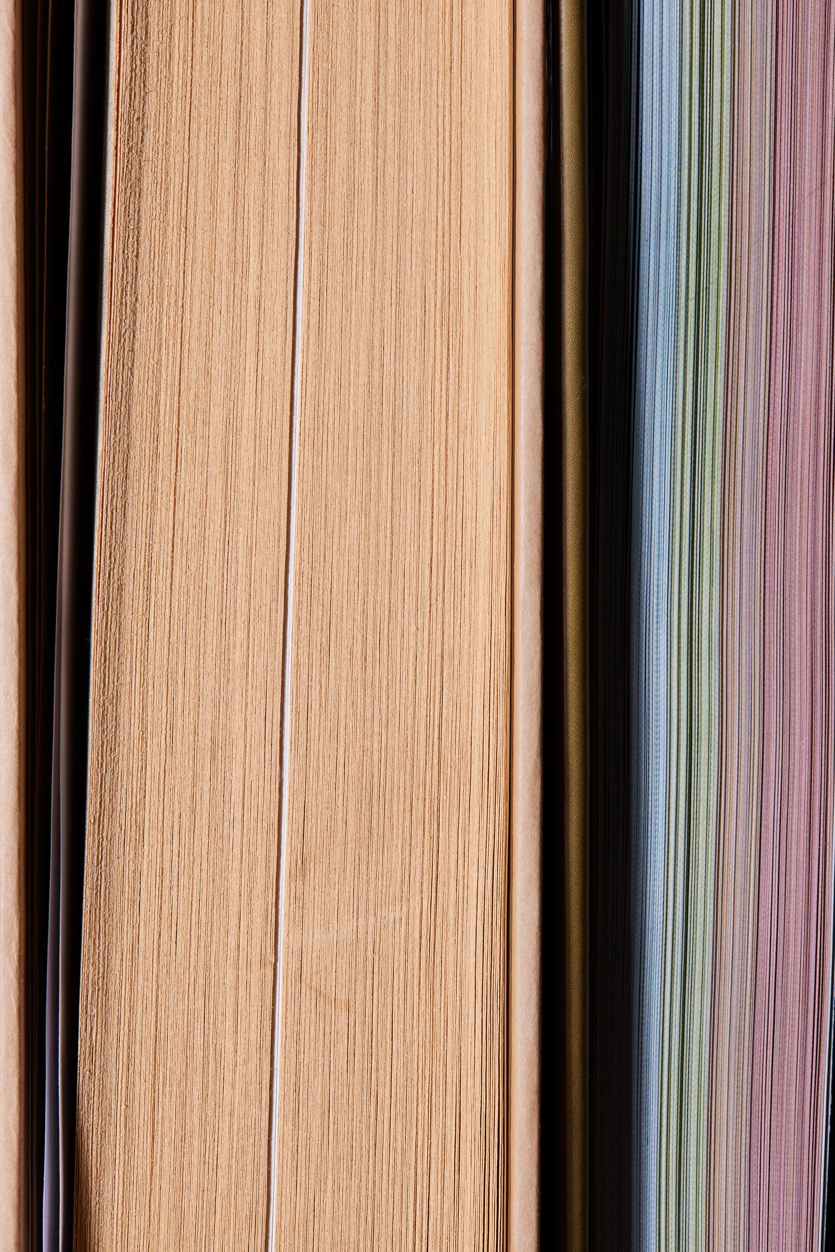  GENIUS OF PLACE: THE LIFE OF FREDERICK LAW OLMSTEAD by Justin Martin   BIRD SONGS: 250 NORTH AMERICAN BIRDS IN SONG by Les Beletsky Cornell Lab Of Ornithology 