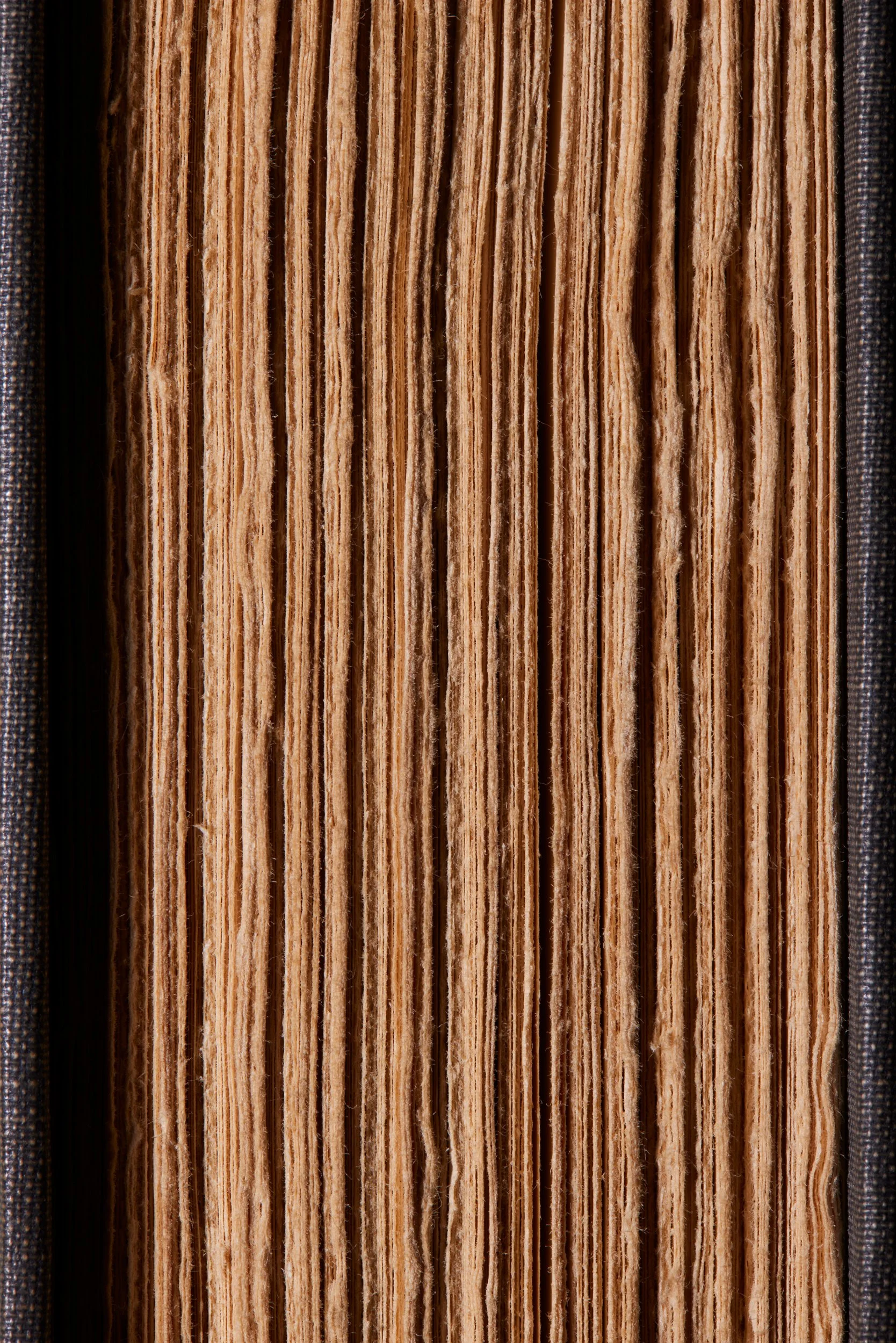  THE CRISIS OF THE OLD ORDER: THE AGE OF ROOSEVELT 1919 - 1933 by Arthur M. Schlesinger Jr. 1957 